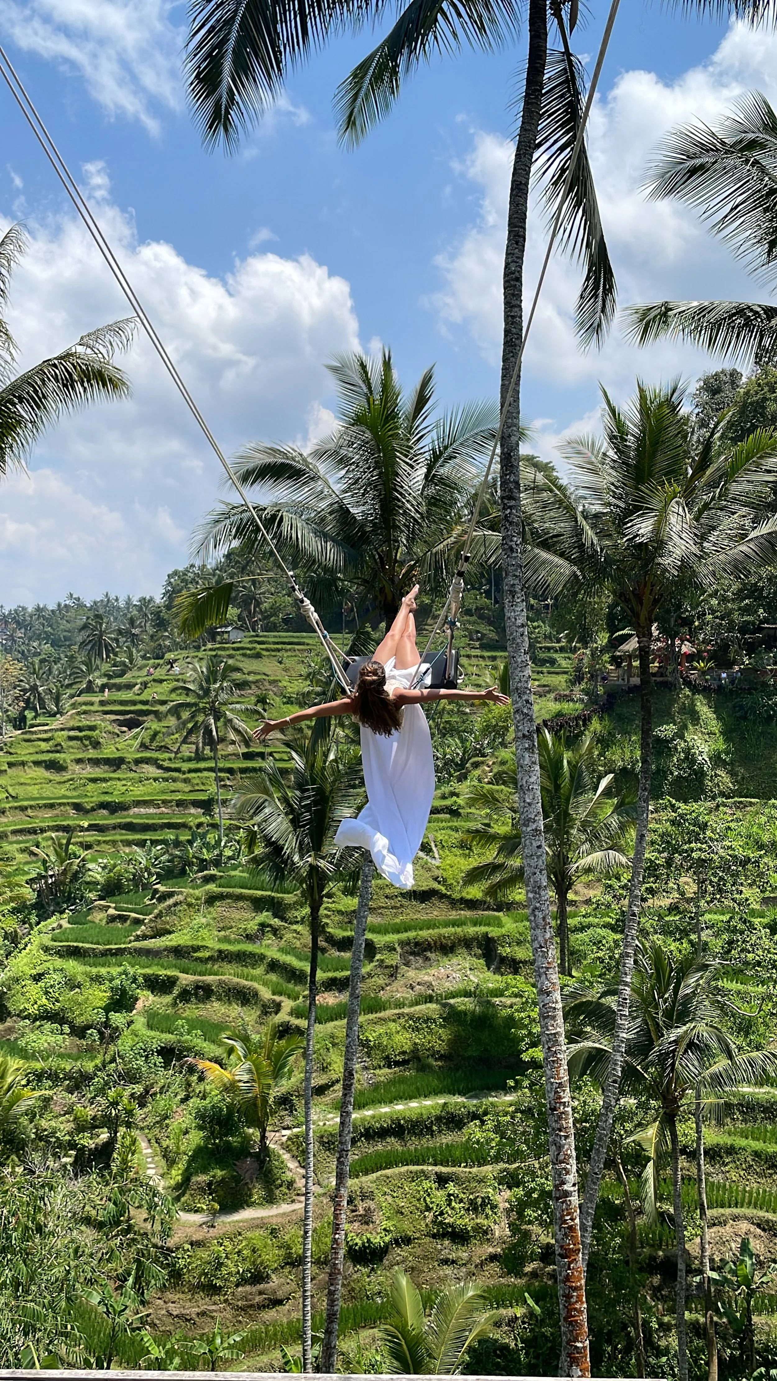 Hamaca en campos de arroz