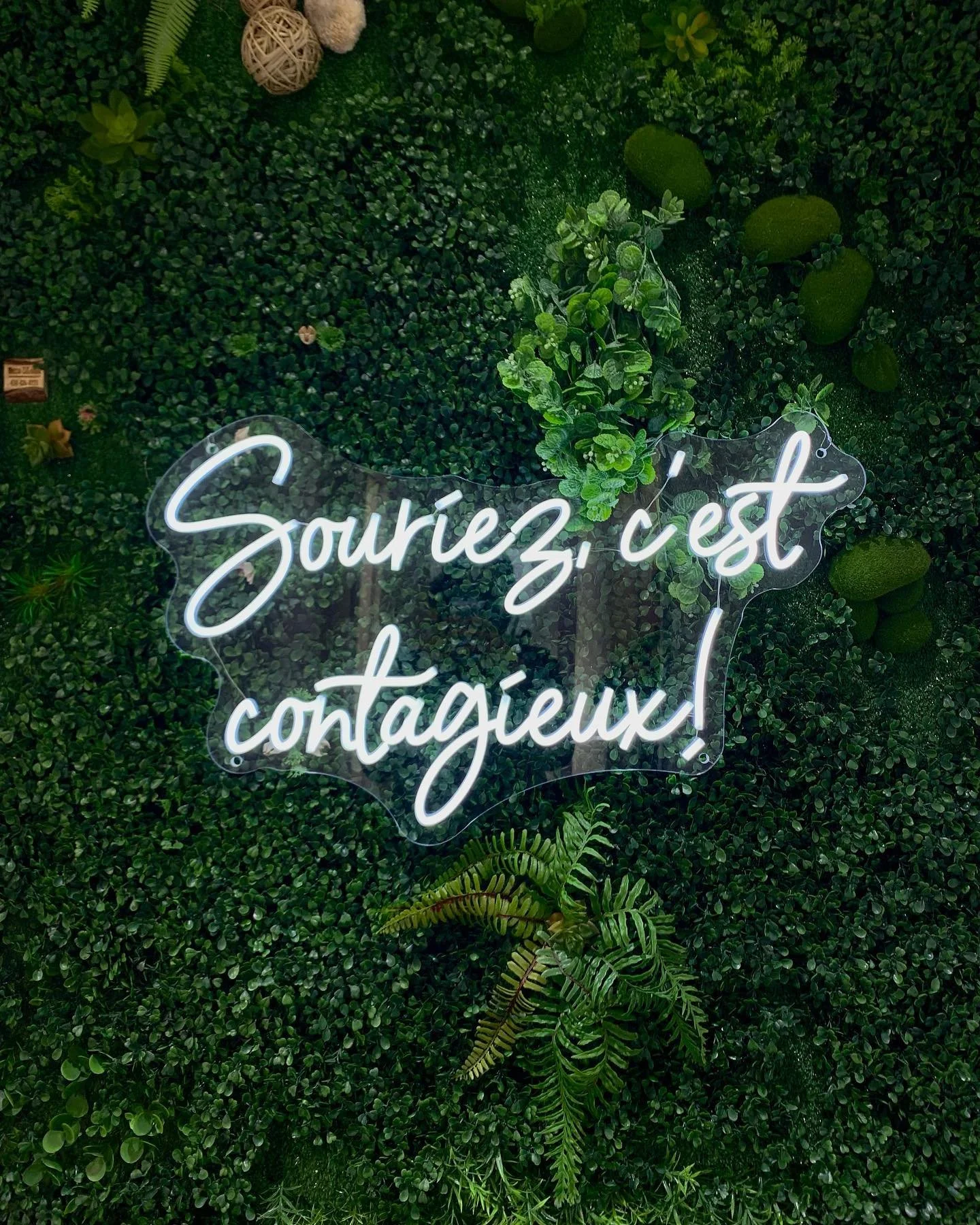 N&rsquo;oubliez pas de sourire aujourd&rsquo;hui! 🦷 Don&rsquo;t forget to smile today!