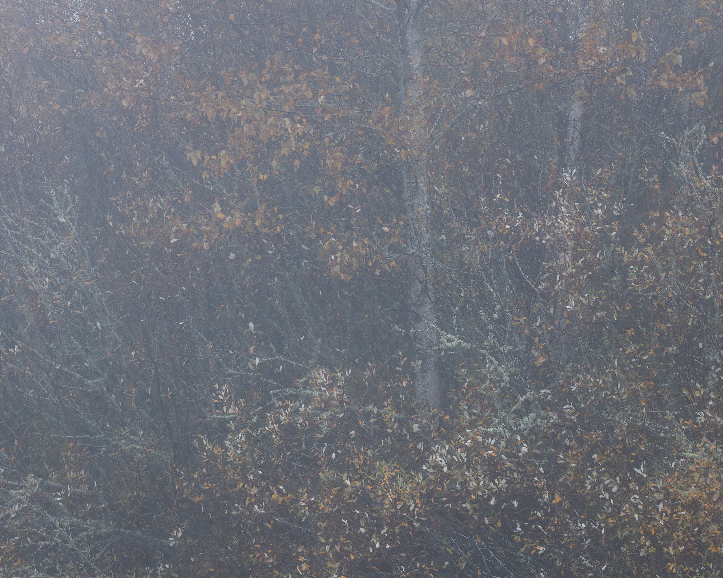 DW5A7934.jpg