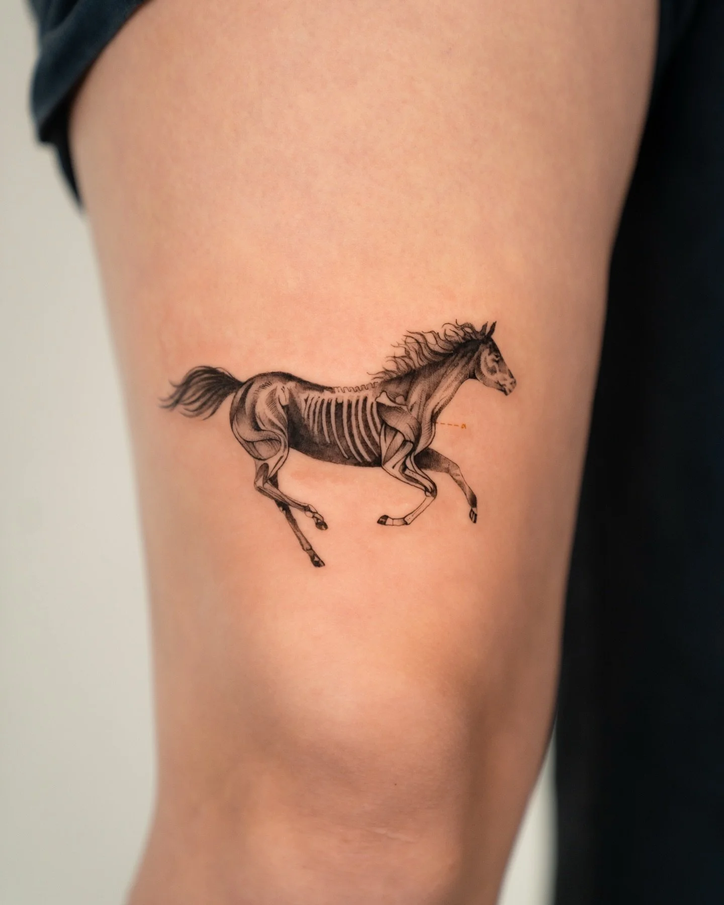 By Julia at @finetattoostudios. Ready for a new tattoo?
&bull;
For booking, contact us through DM or email 📩
&bull;
&bull;
#tattoos #tattoolife #finelinetattoo #inkjunkeyz #inkedup seattleink seattletattoo tattooideas @franka_tattoo