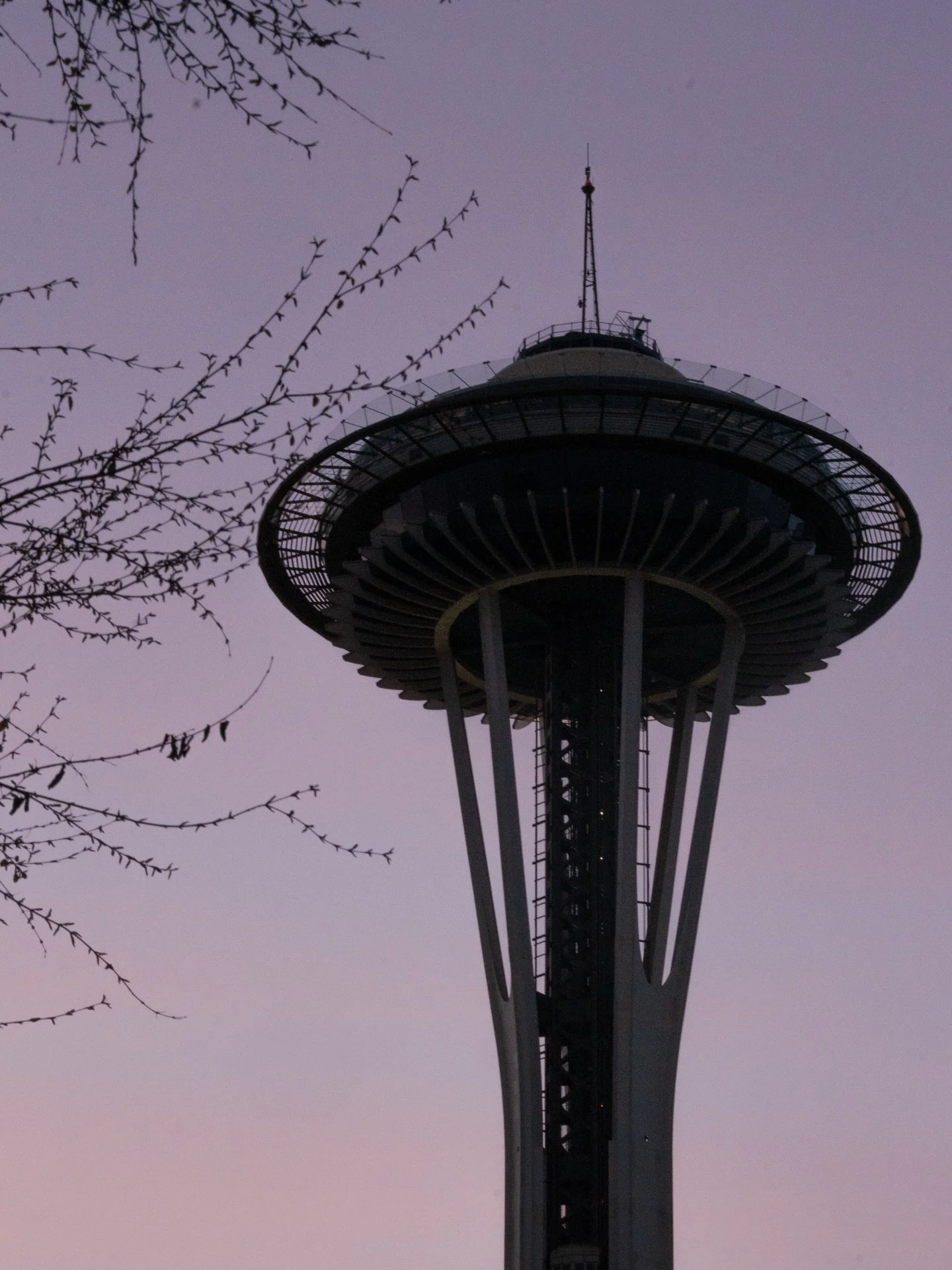 Seattle sunsets never get old ✨