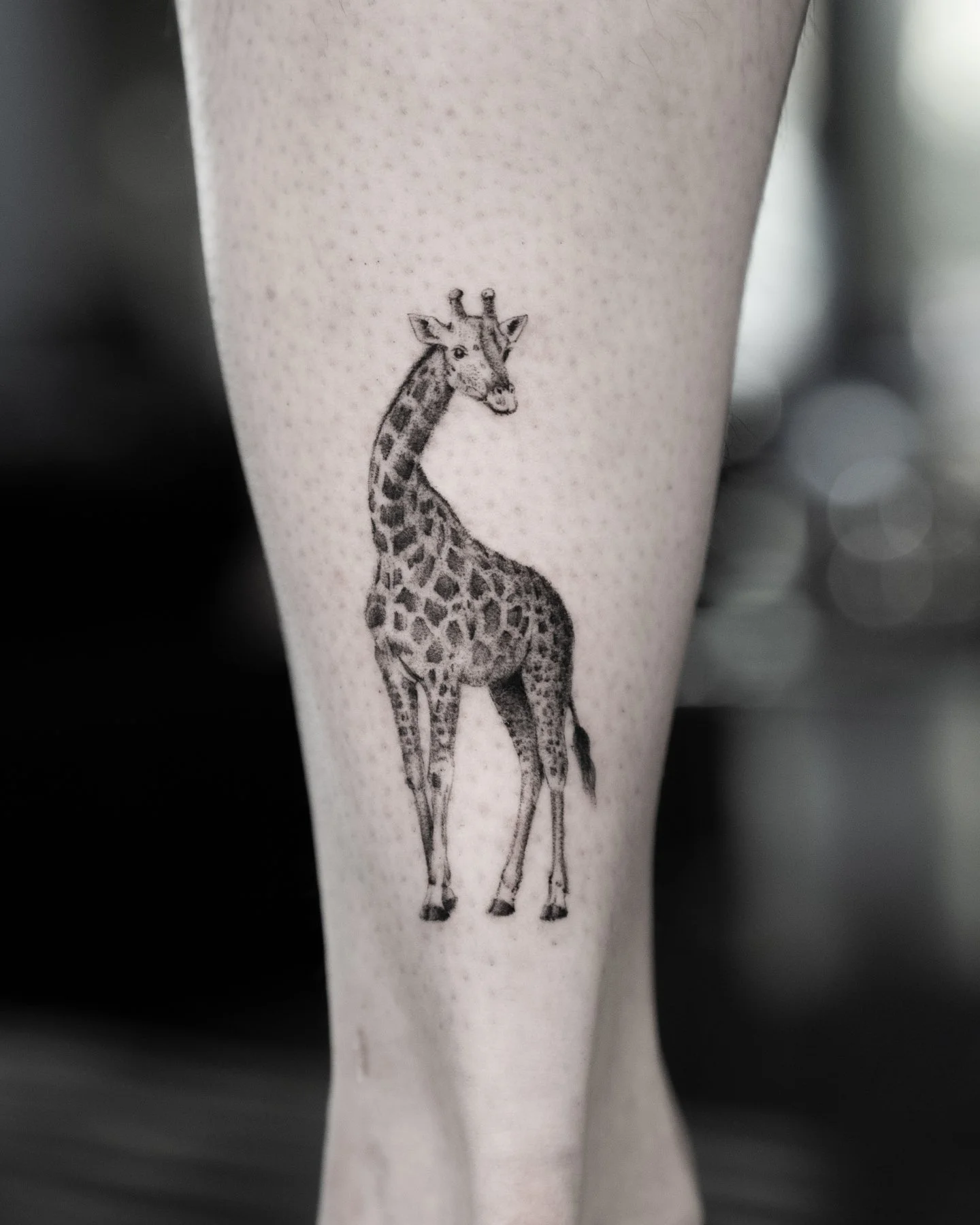 Latest from Alice's chair.

DM us your idea || We'll take it from there.

Artist: [ @orbliiz ]

Fine Studio | South Lake Union, Seattle. Black and grey realism and microrealism &mdash; portraits and detail work designed from scratch. #seattletattoo #