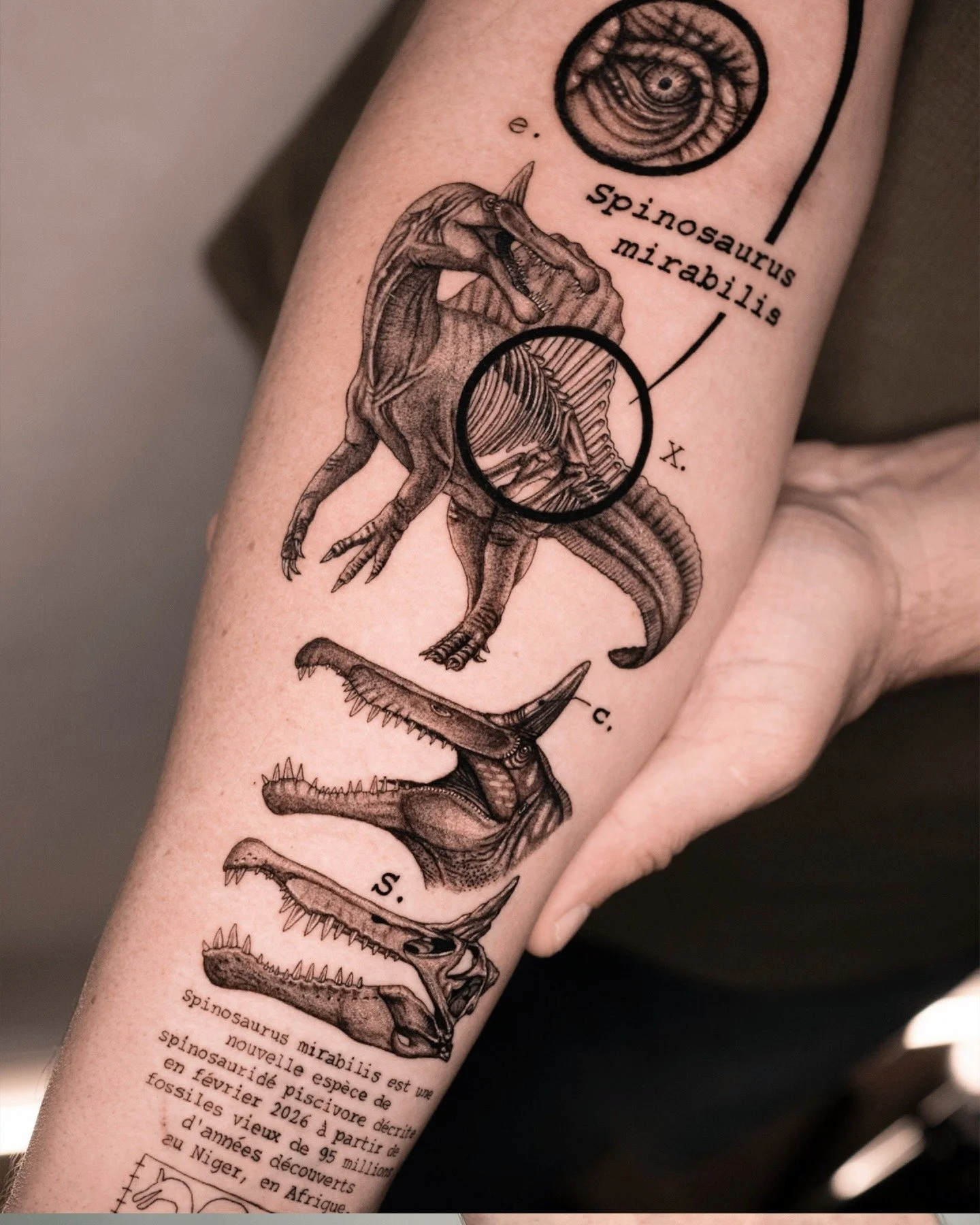Artist Inspiration [ @robbee.ink ] Specializing in scientific and conceptual black and grey, Roberto Pappalardo tattoos like a naturalist's field notebook, skeletons, dinosaurs and deep-sea creatures rendered as vintage engravings. The work stands ou