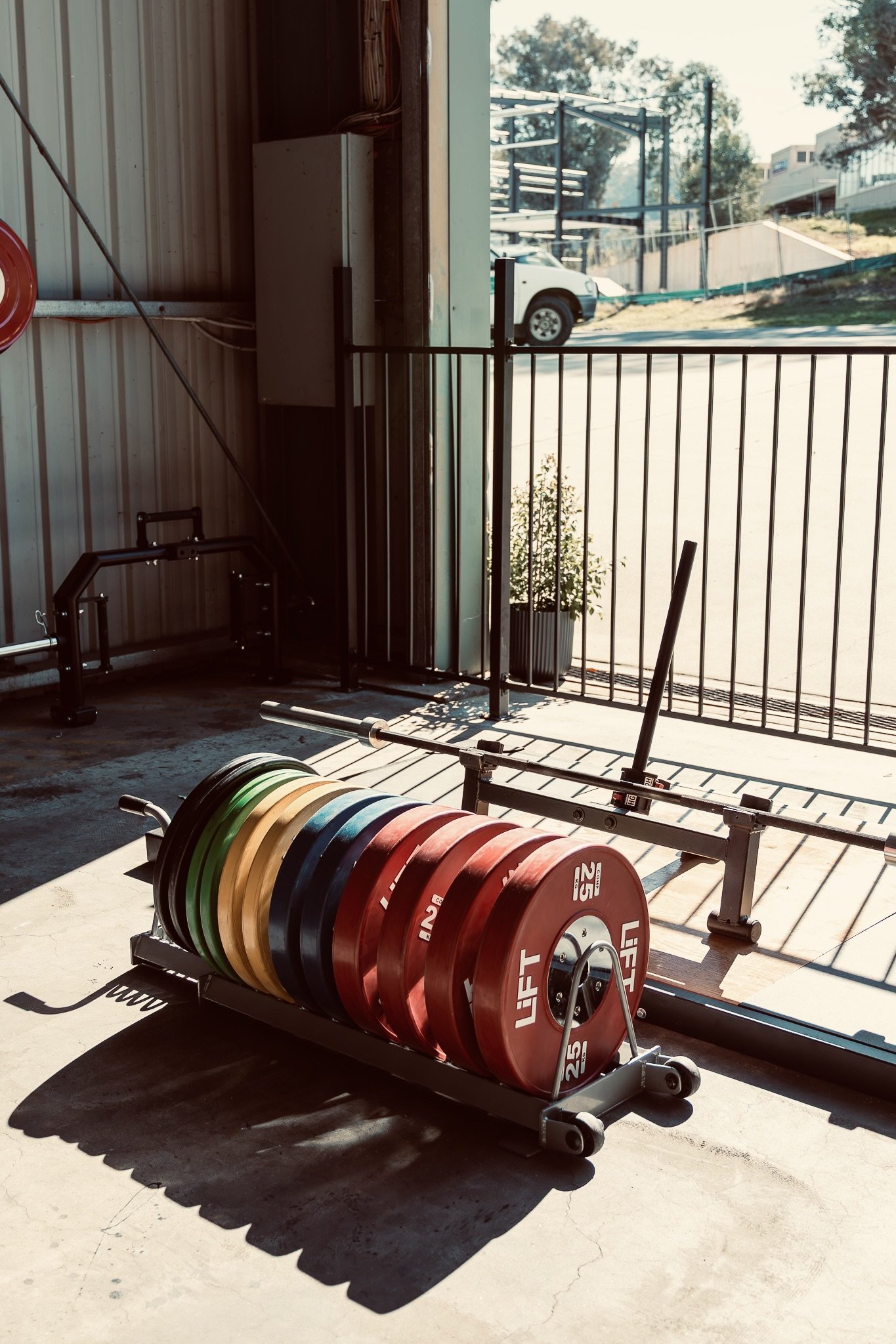 Weightlifting plates in rainbow colors on a weight rack at a gym with sunlight and outdoor view.