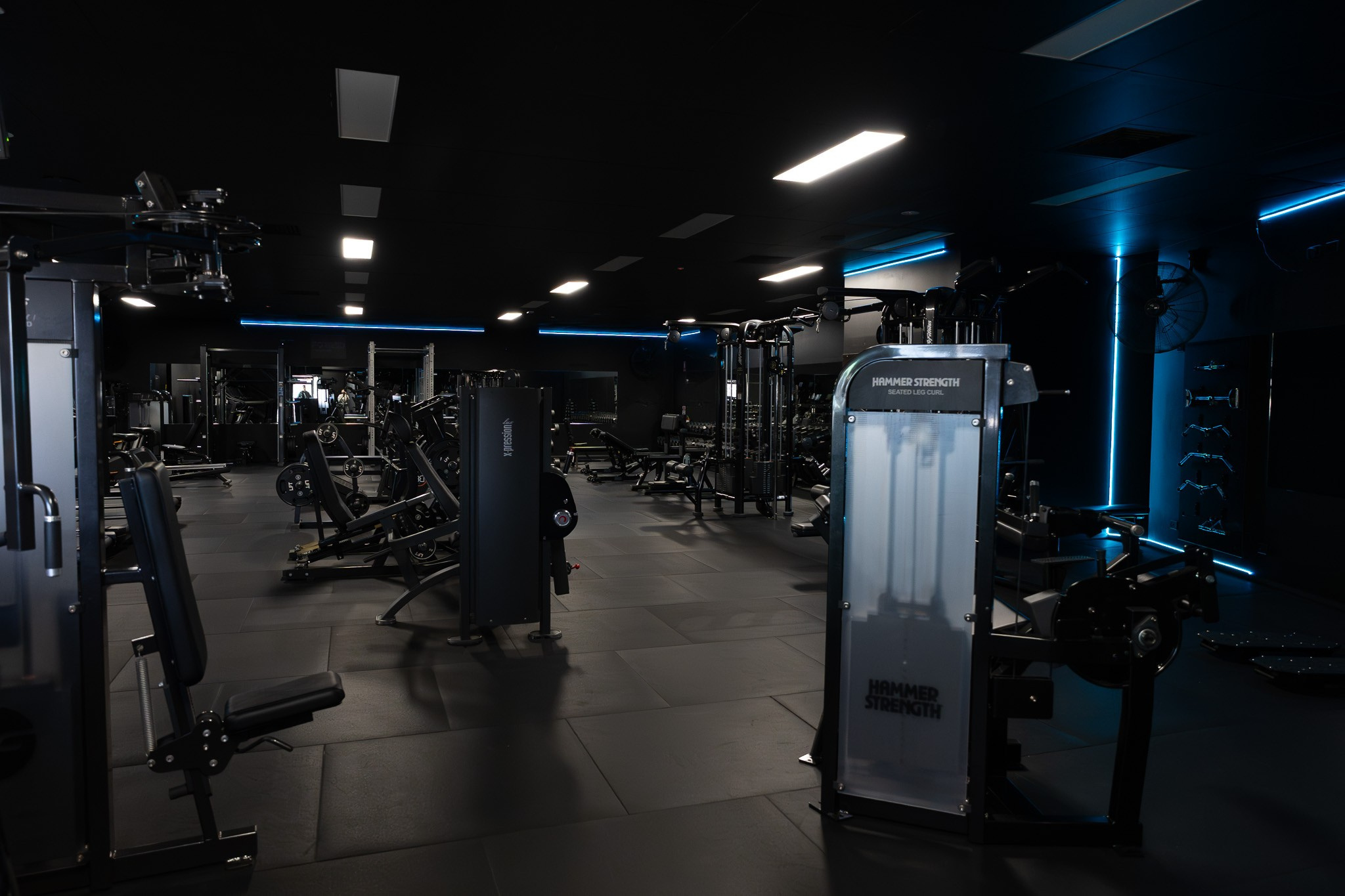 A dark gym interior with various workout equipment including weight machines, dumbbells, and cardio machines, illuminated by ceiling lights and blue LED accent lighting.