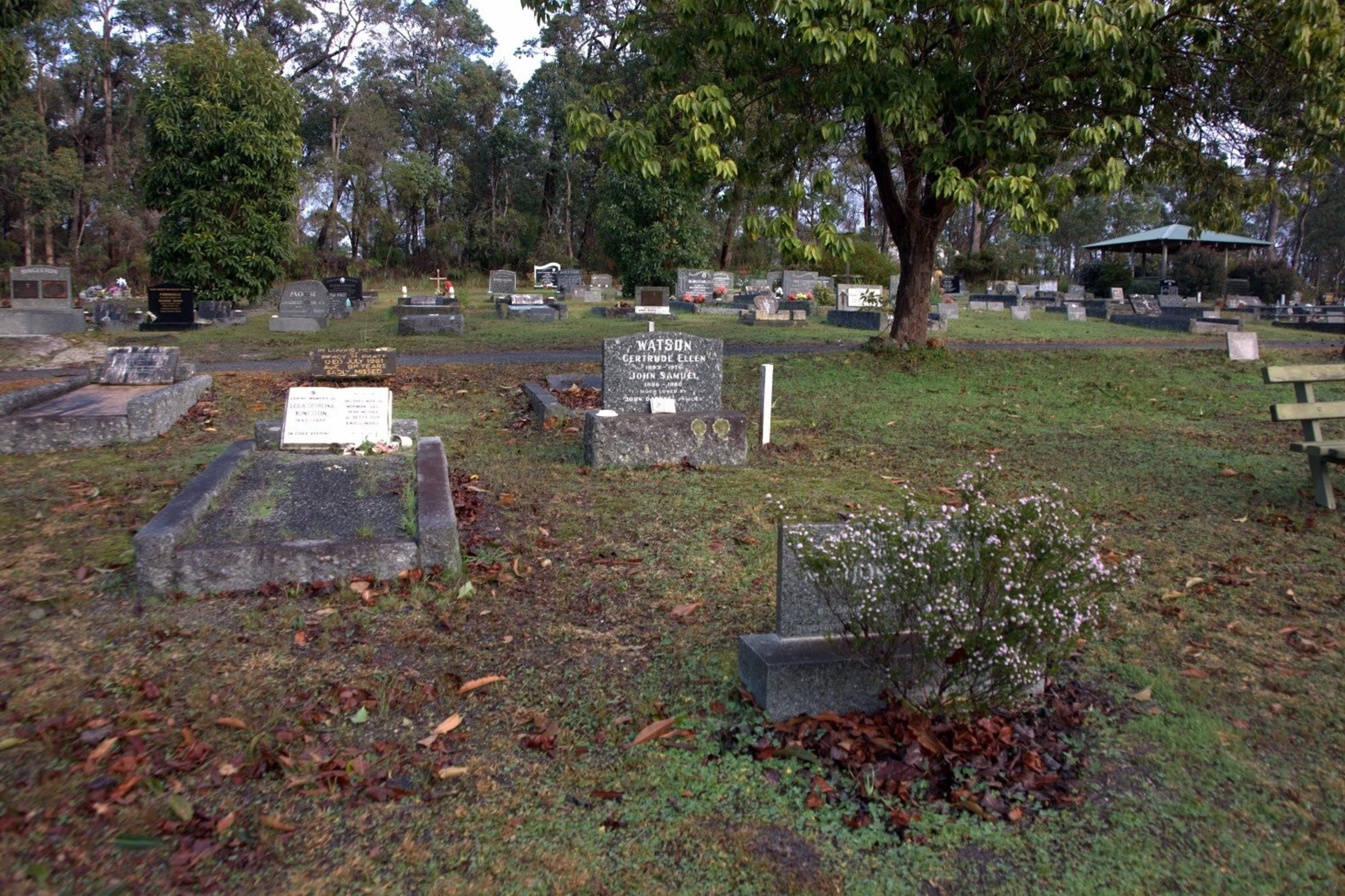 Denmark Cemetery grave.jpeg