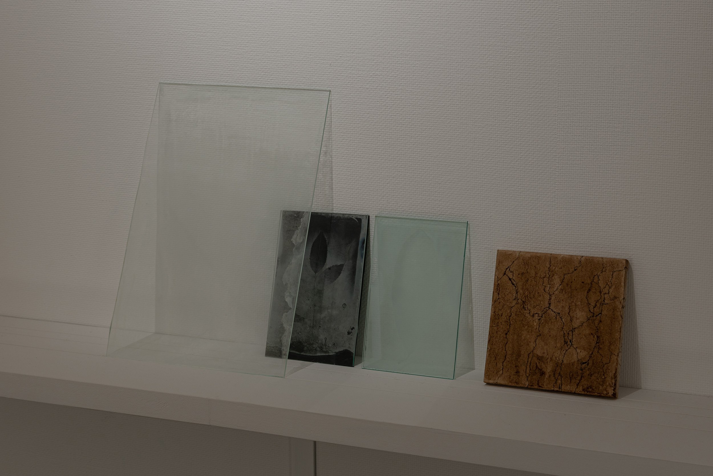 DSC_8579.jpg