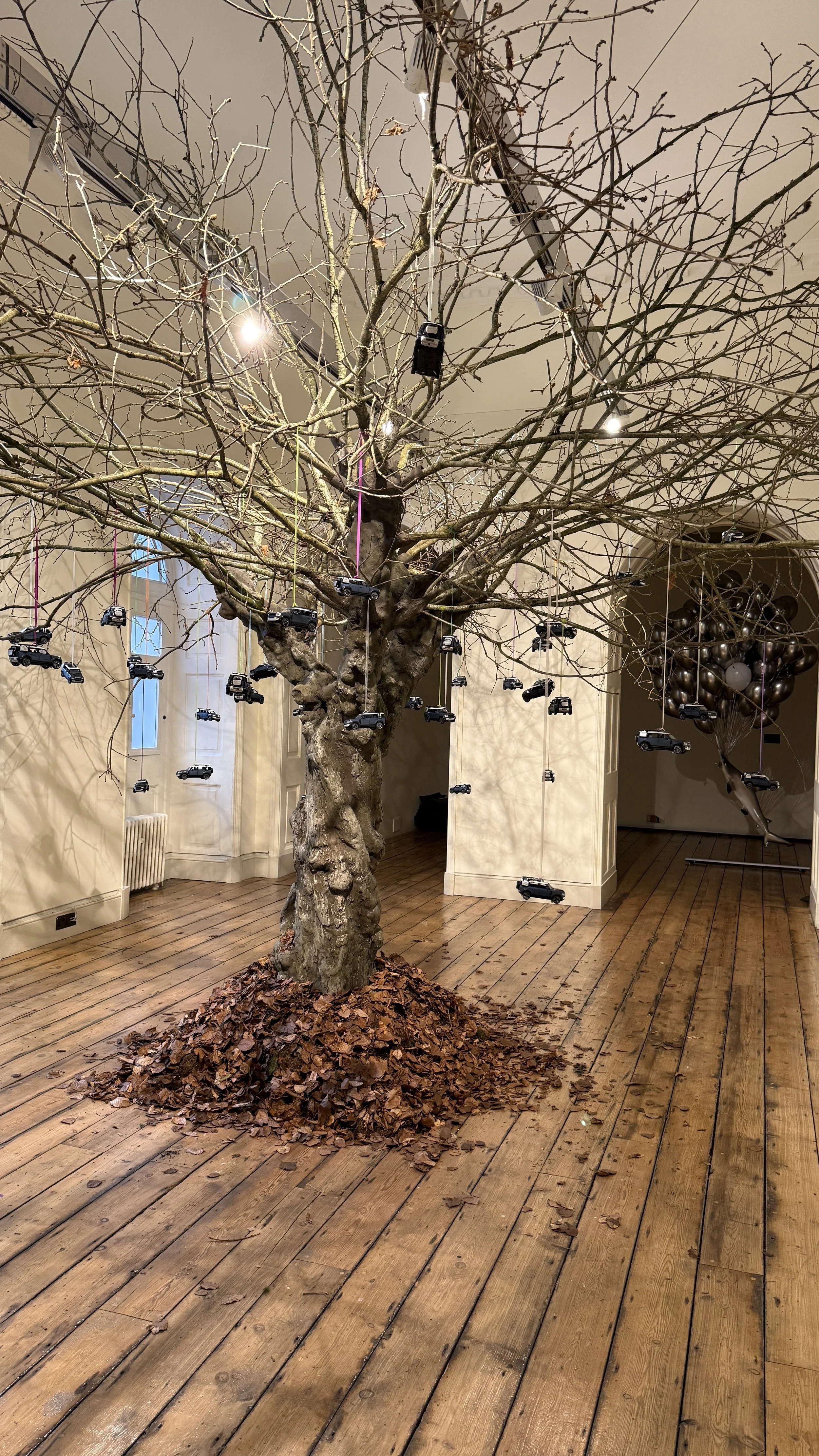 IMG_8815.jpg