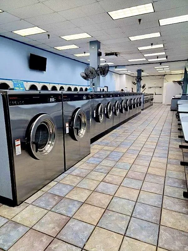 A laundromat with a row of front-loading washing machines with stainless steel doors.