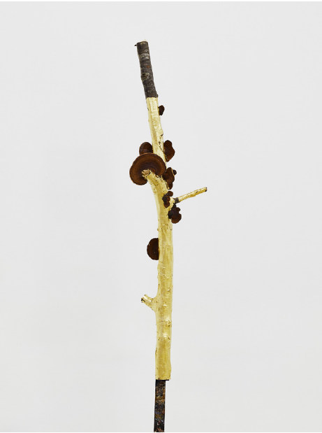 Capture d’écran 2019-05-09 à 18.49.24.png