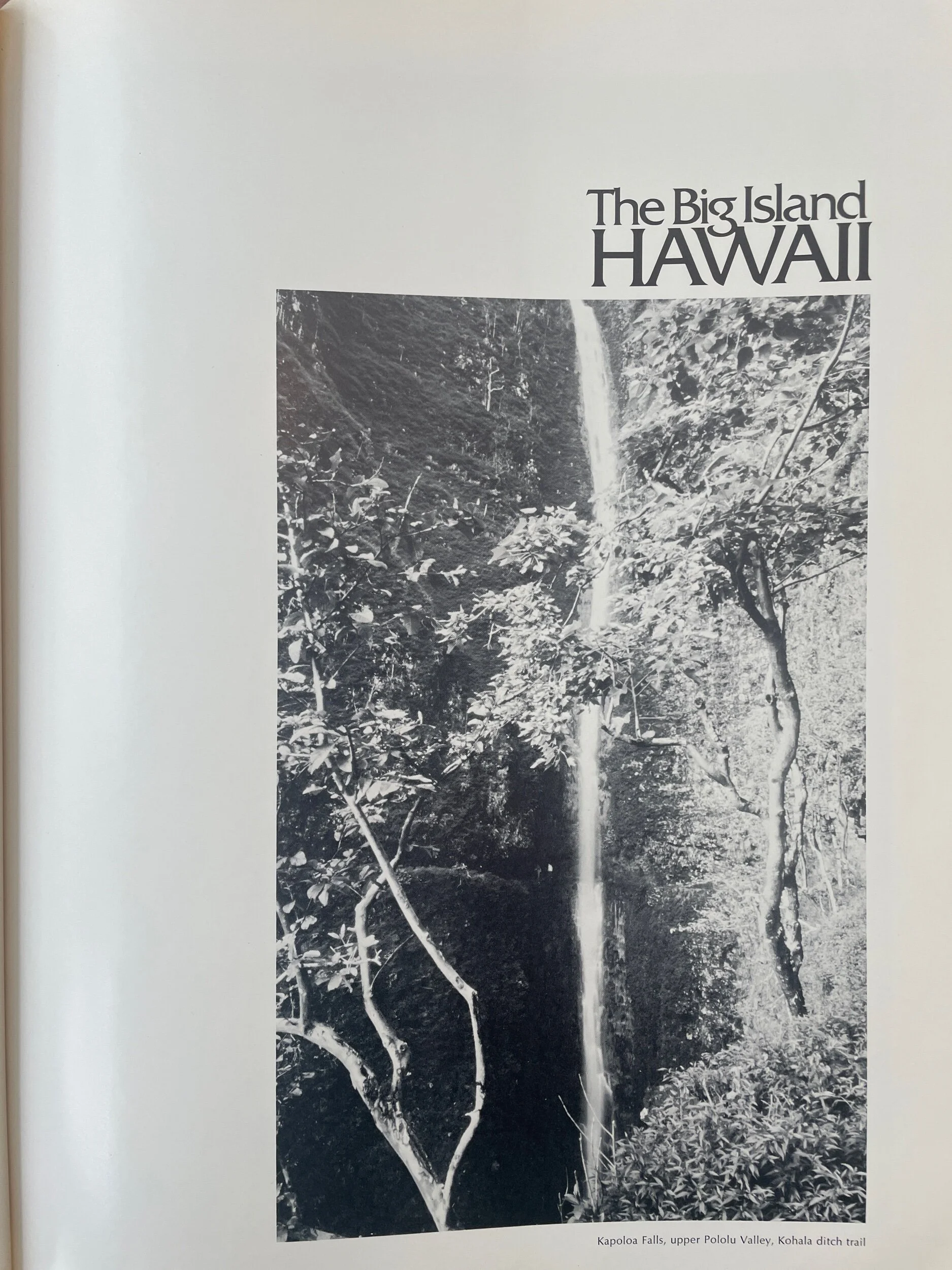 E43AFDCD-747E-438C-8CF5-AD6FBAF9E416