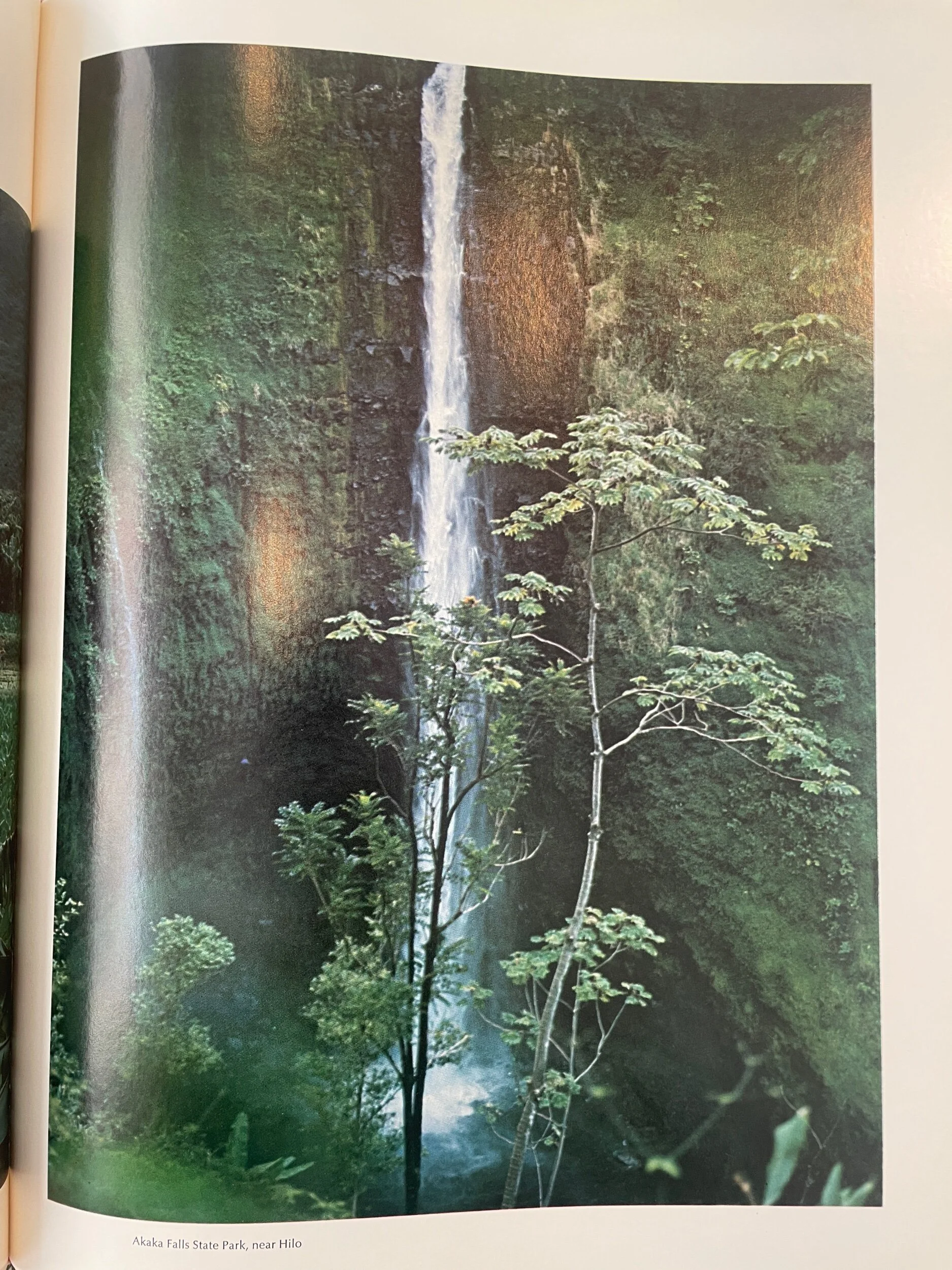 D1F3F136-CC60-48B8-BF5D-ED925AF9A106