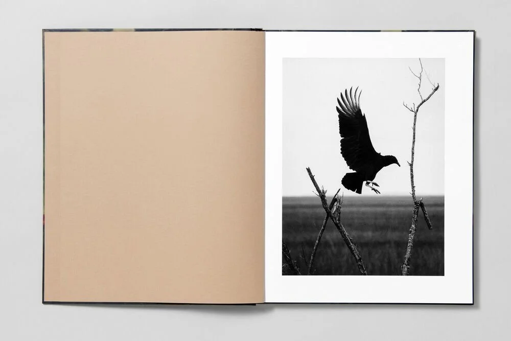 Blackwater  初版　Robbie Lawrence Robbie Lawrence, Blackwater River — Amers Books