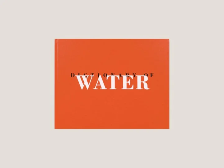 Roni Horn - Dictionnary of water