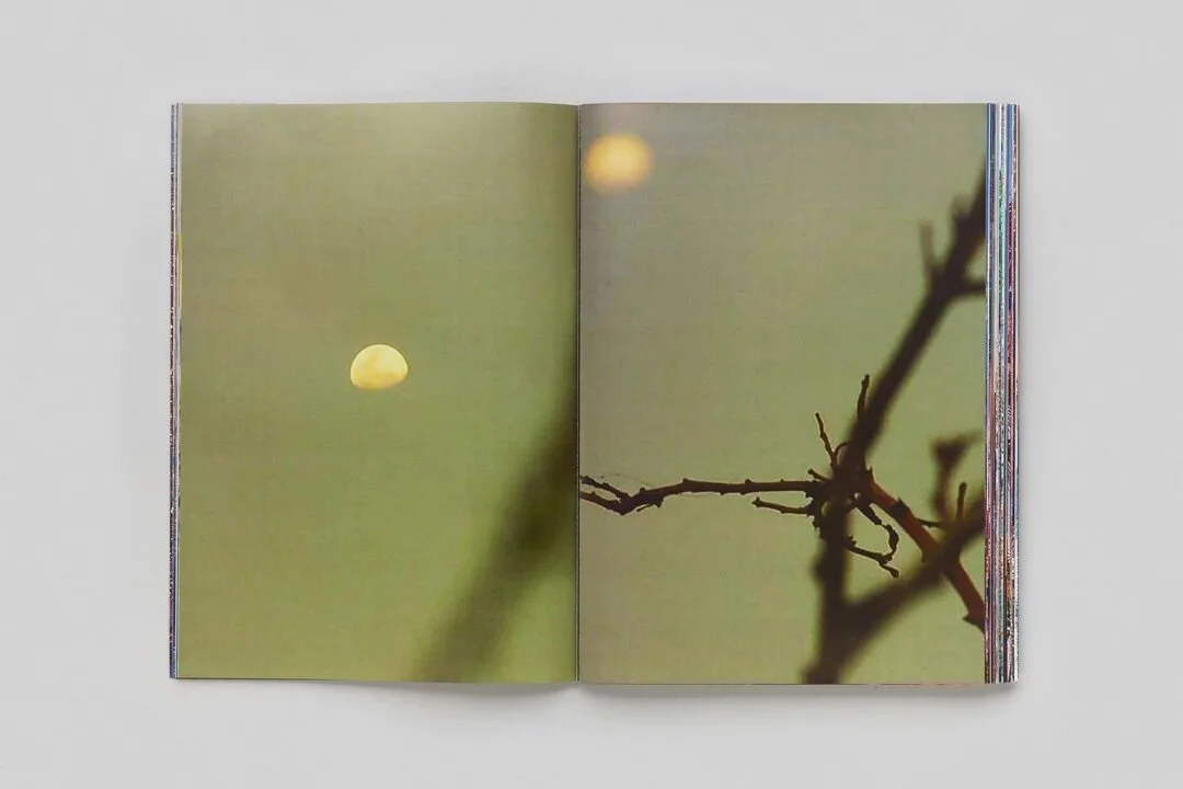 8EB49C70-A462-49D1-B840-1CD910FD96F3