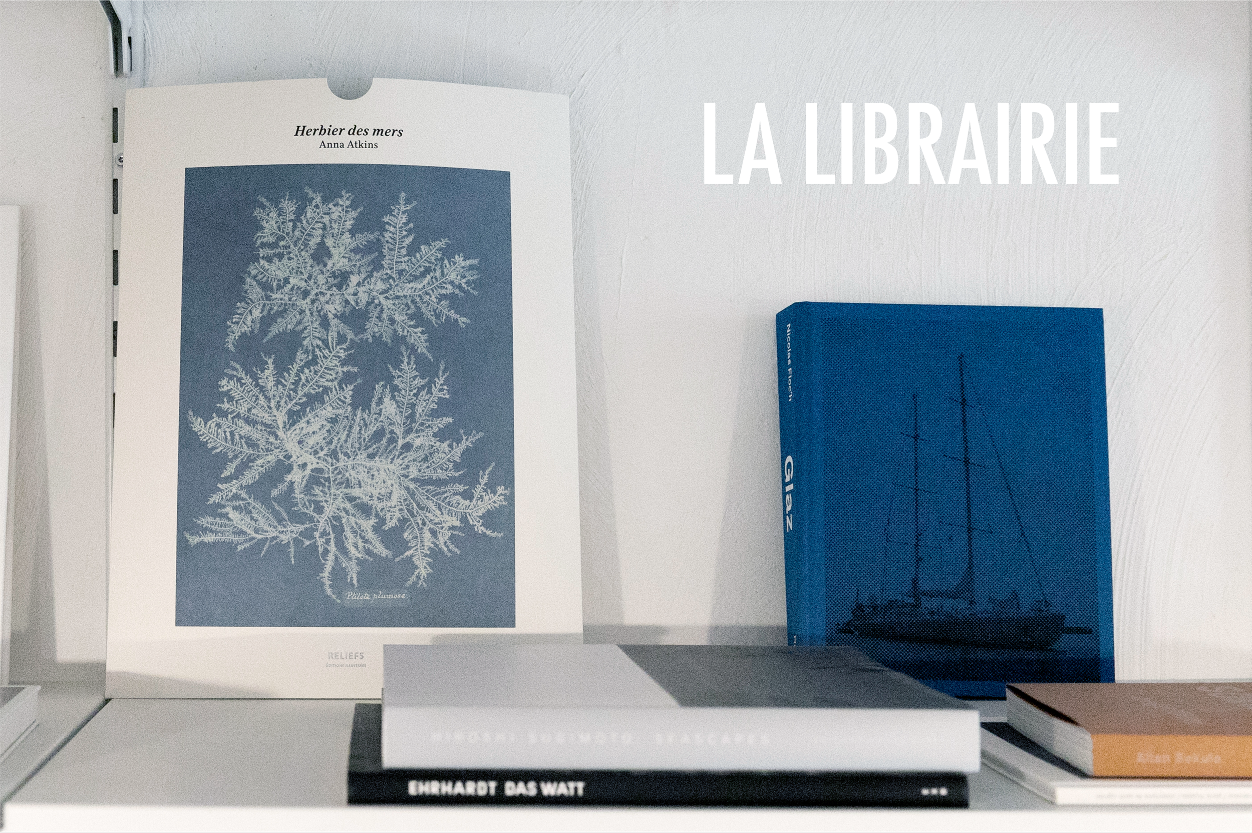 Librairie.jpg
