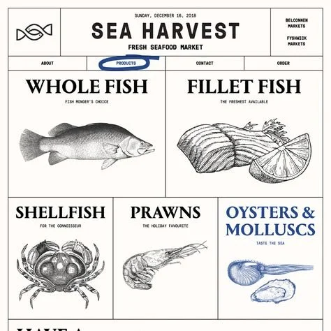 surfing inspired Squarespace website design and development of an Aberdeen Wealth Advisors 