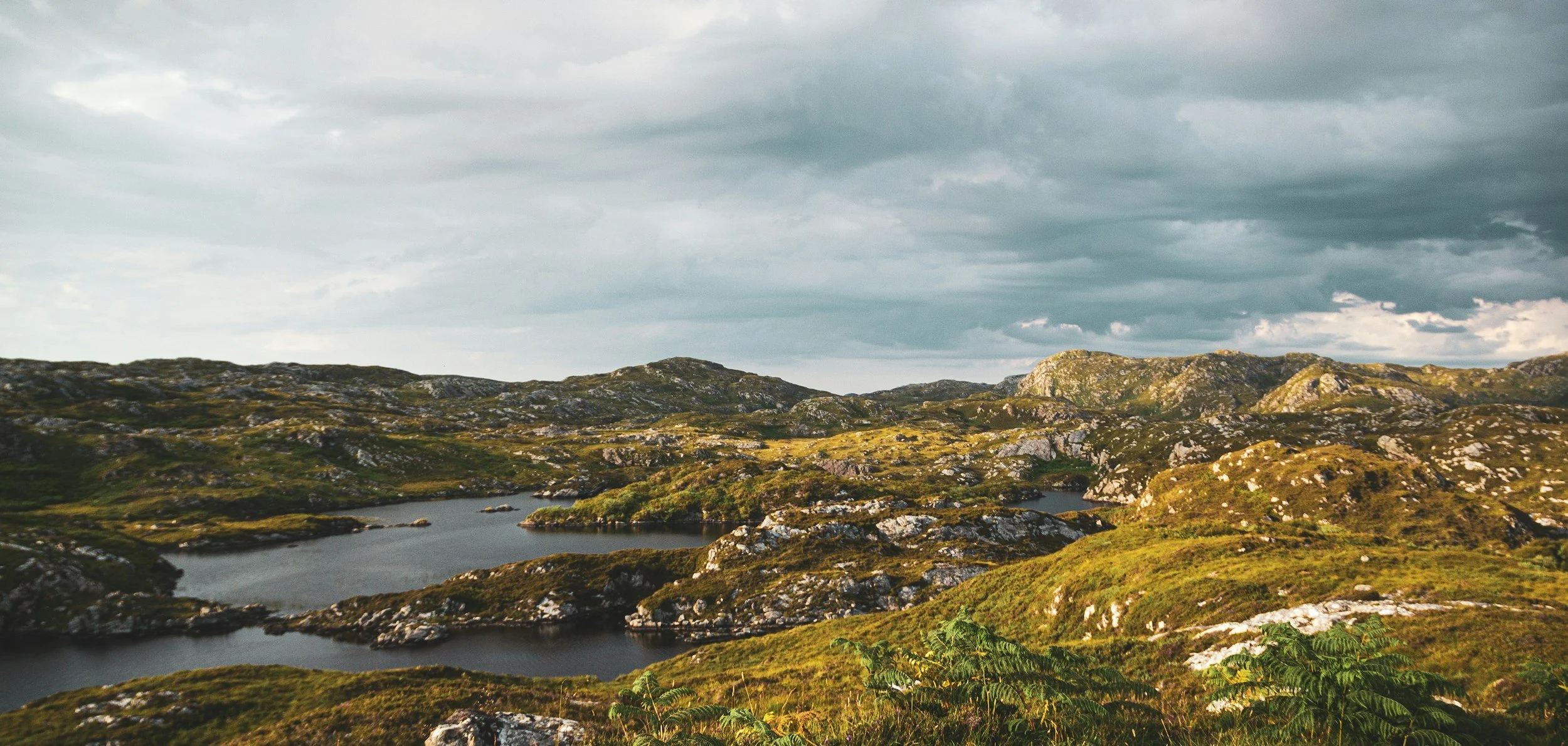 A yellow button with the text 'Q' in the center.