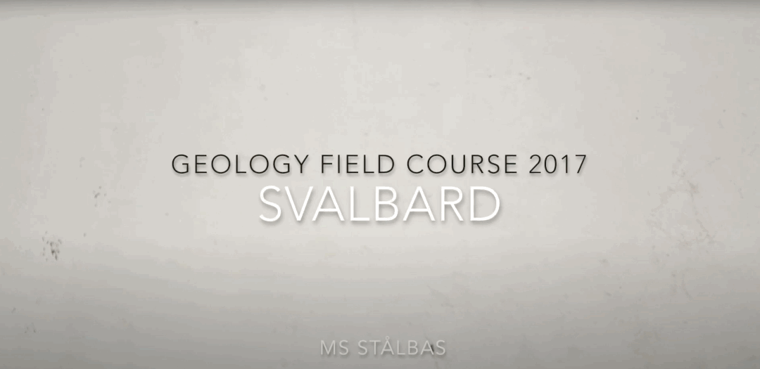 ✻ Wee Business Promotional Videos