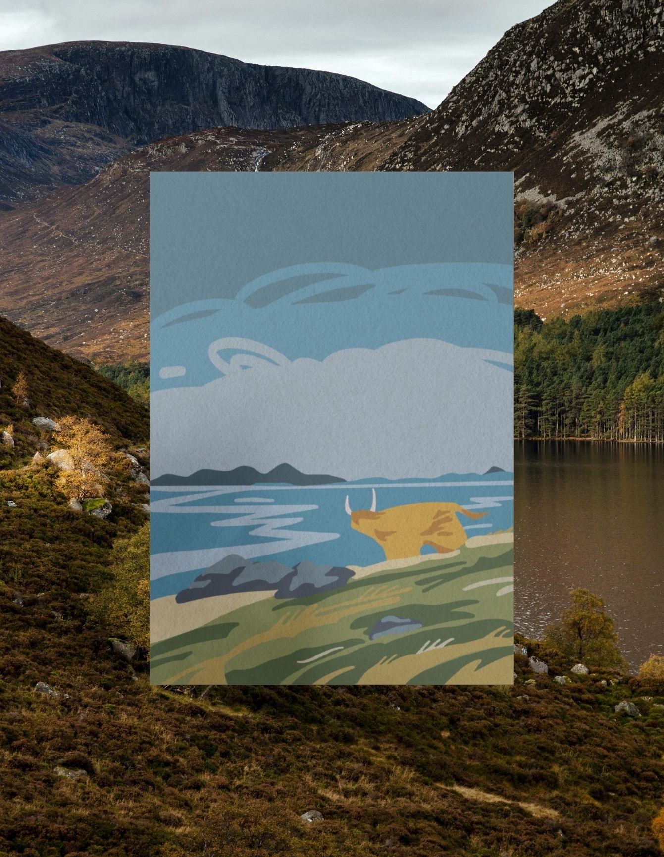 Highland Coo ● Scottish Fine Art Print