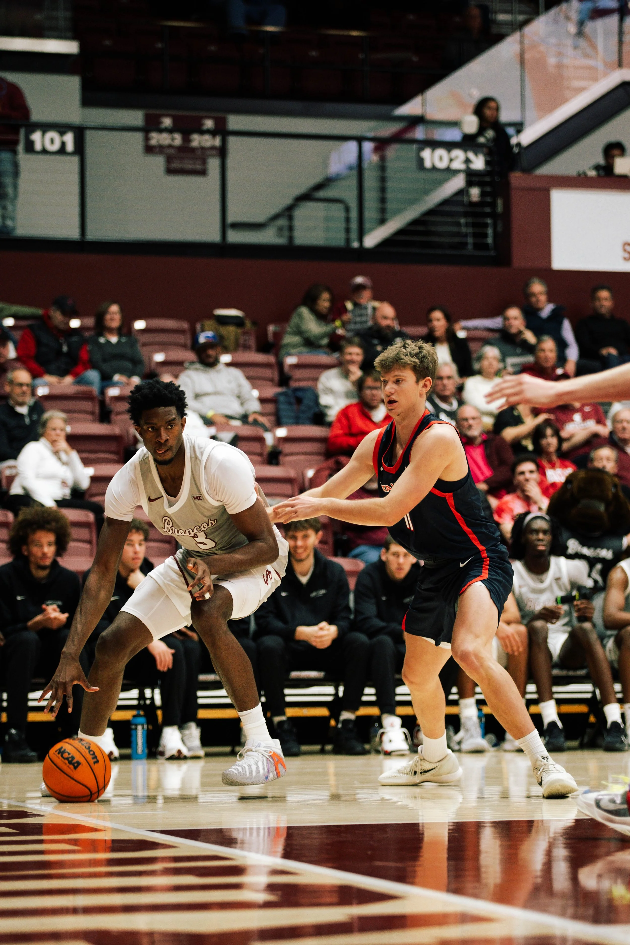 basketball-28.jpg