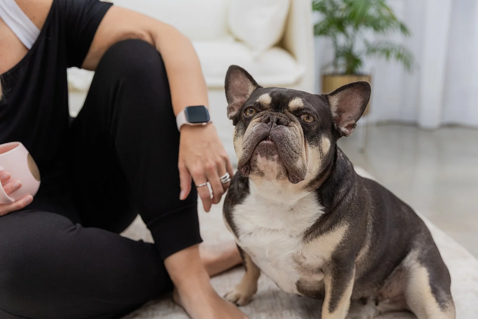 The Creative Warehouse Journey