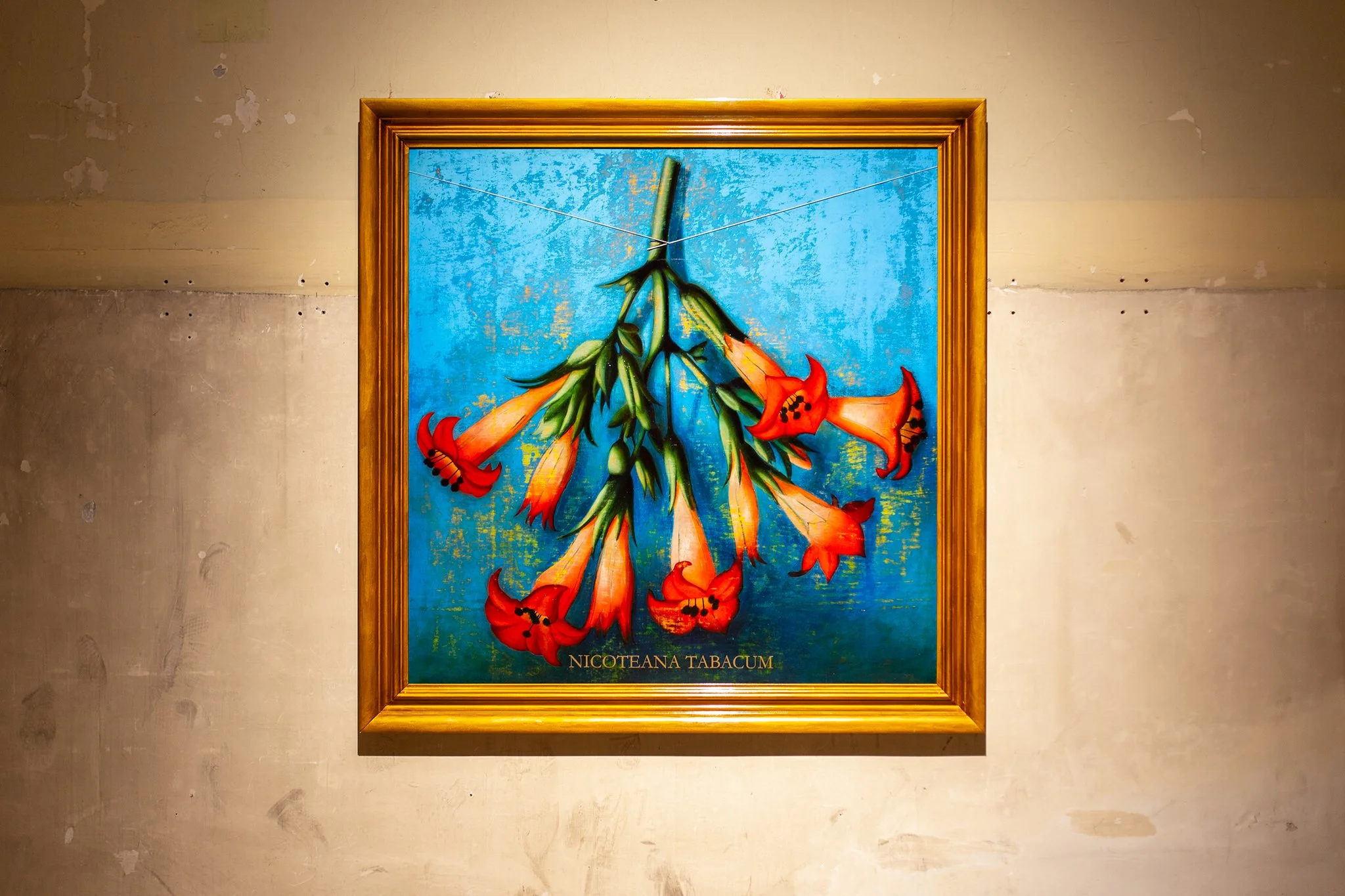 SalaEstudios_Sfumato05.jpg