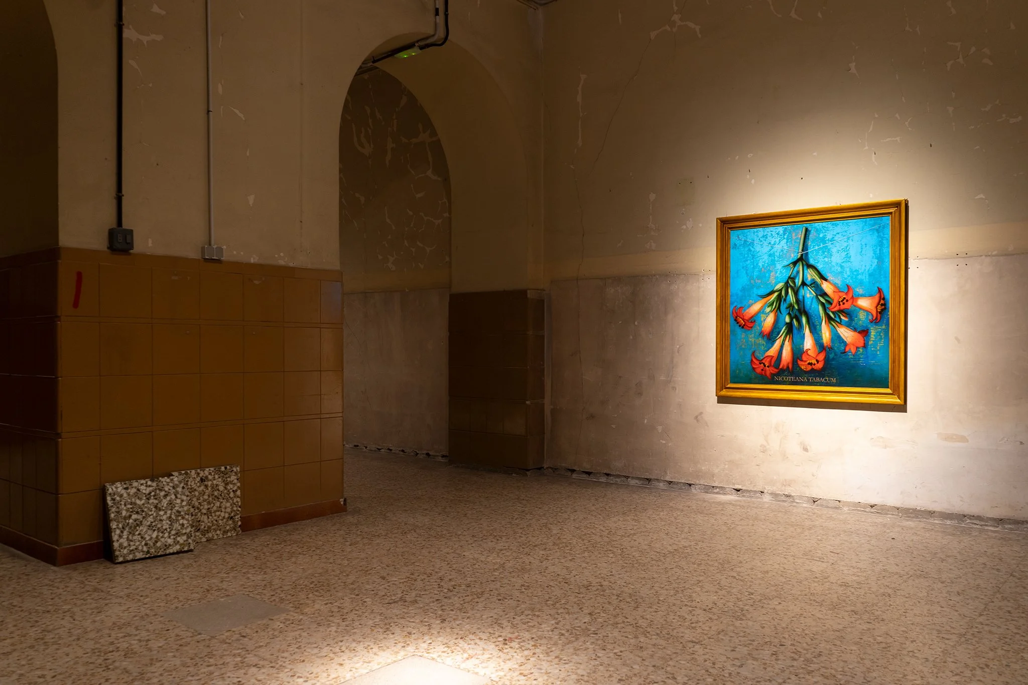 SalaEstudios_Sfumato04.jpg