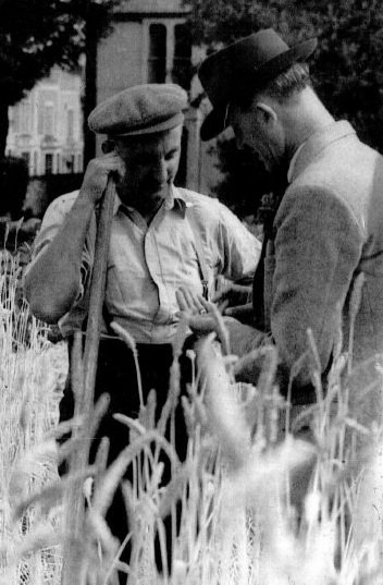 Earlier generation of farmers at New Manor Farm