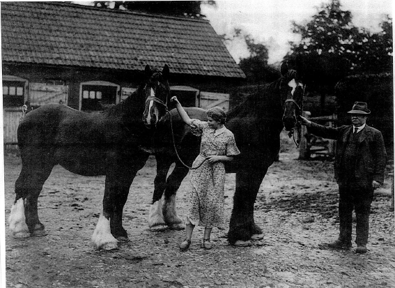 Earlier generation of farmers standing with two large horses in front of a stable.