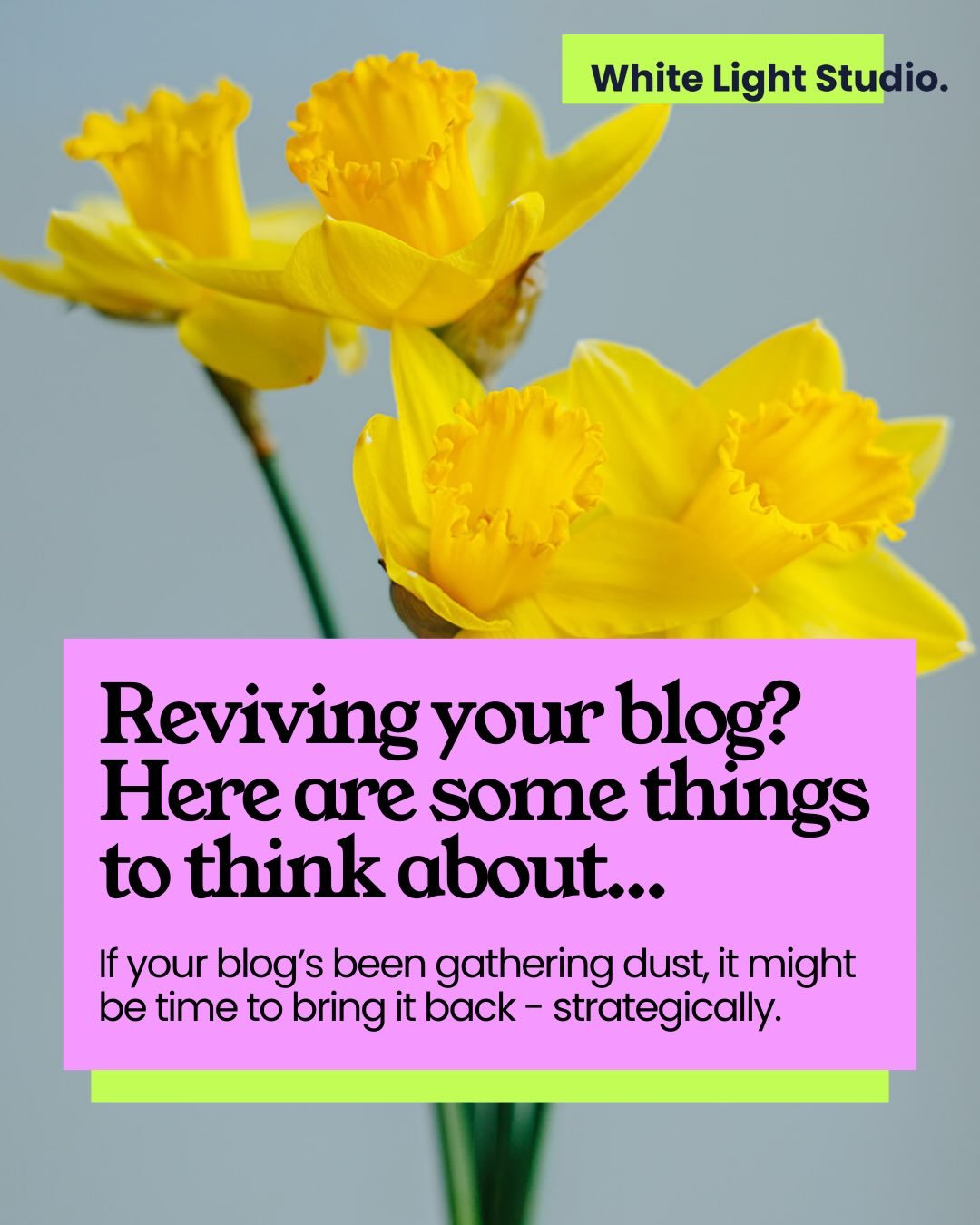 If your blog&rsquo;s been gathering dust, it might be time to bring it back -  strategically. 

A revived blog isn&rsquo;t just content&hellip; it&rsquo;s one of the most powerful tools in your SEO toolkit. 🔍

Here&rsquo;s what to think about before