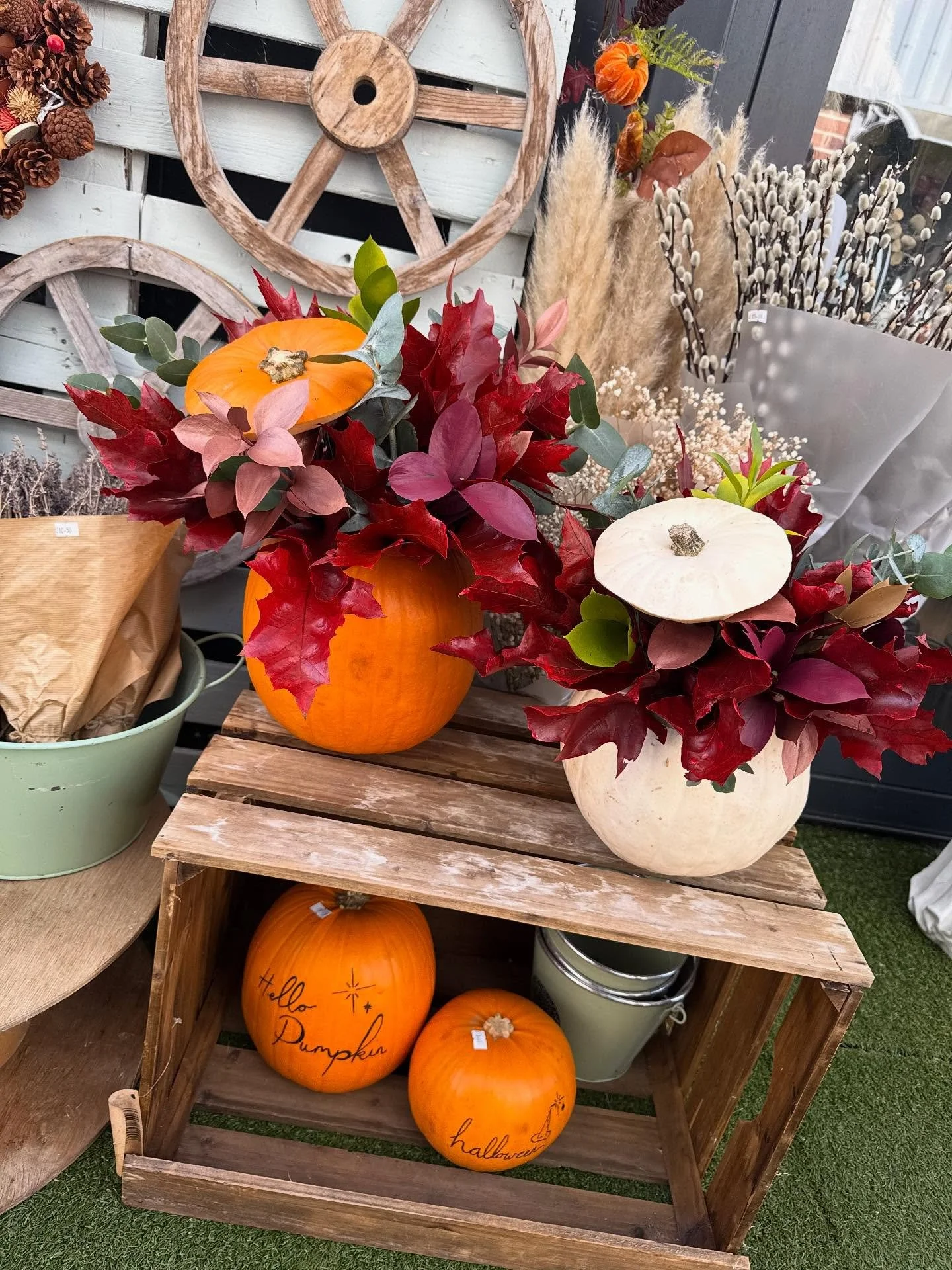 It&rsquo;s BLOOMING Autumn 🍂🎃 

Shop these gorgeous pumpkins in store NOW!! 

#pumpkins #pumpkinseason #autumn #shepperton #florist #flowers #surrey #tuliptreasures