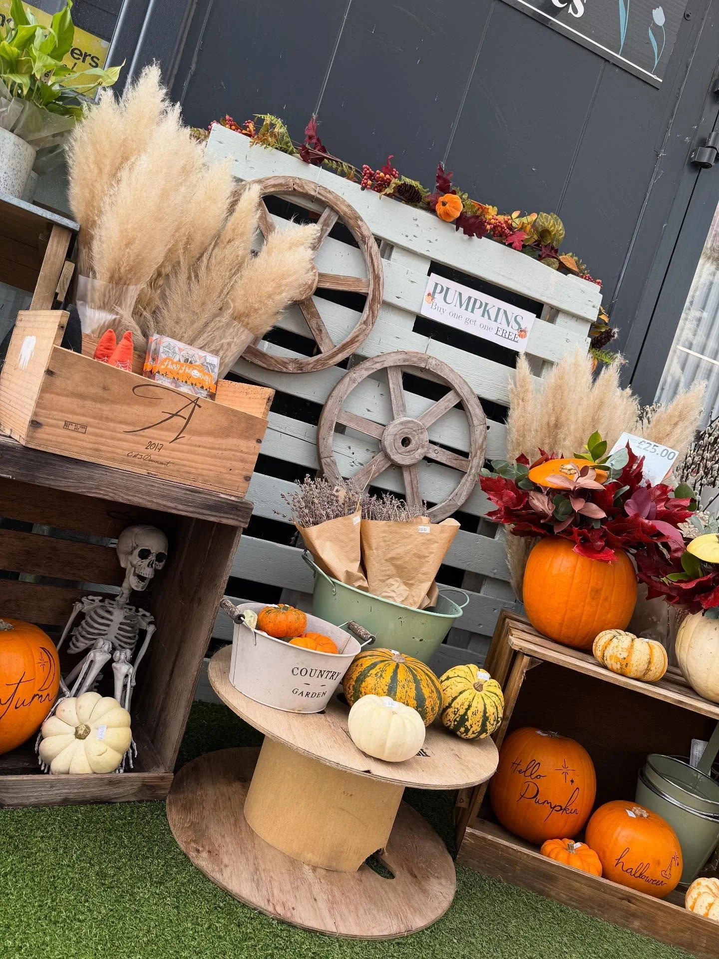 Buy one get one Free on our pumpkins today in store 🎃 

#buyonegetonefree #pumpkins #hallowen #shepperton #florist #flowers #surrey #tuliptreasures