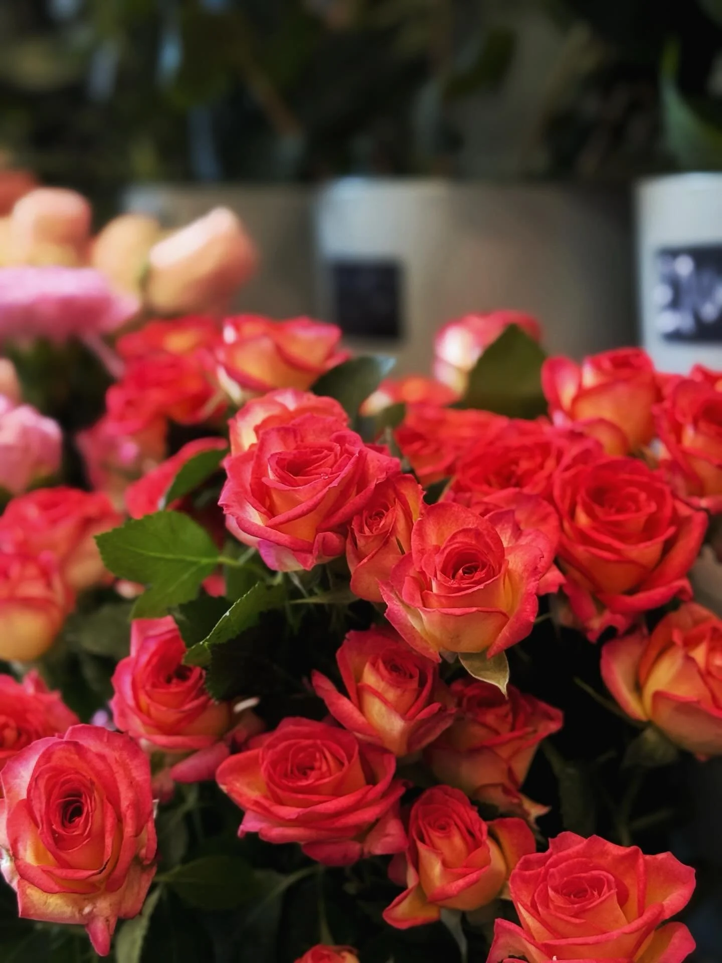 Gorgeous flowers delivered fresh this morning! We have a beautiful selection of different stems, customise to your hearts content 💐
&bull;
&bull;
&bull;
&bull;
#roses #hydrangea #shepperton #florist #tuliptreasures