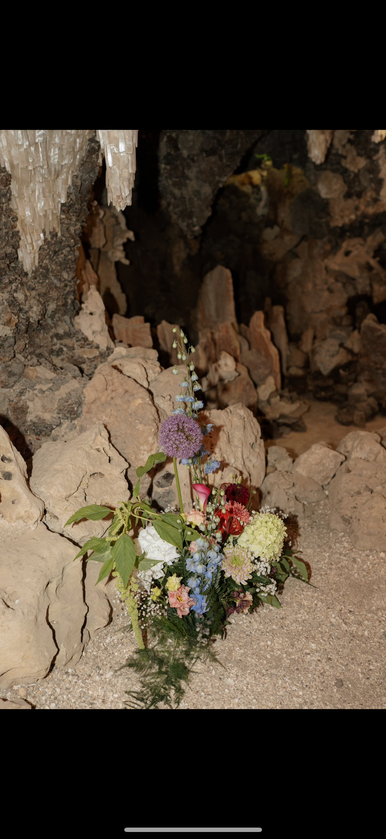 IMG_1870.png