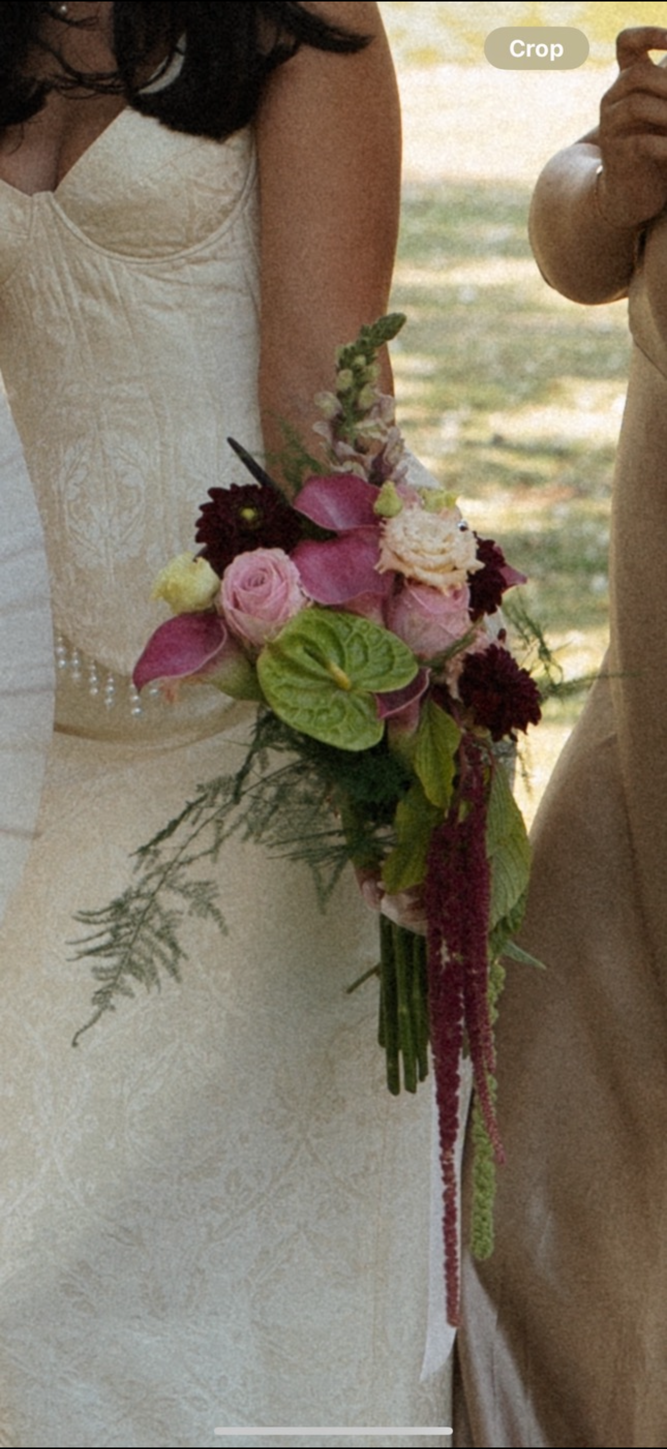 IMG_1875.png