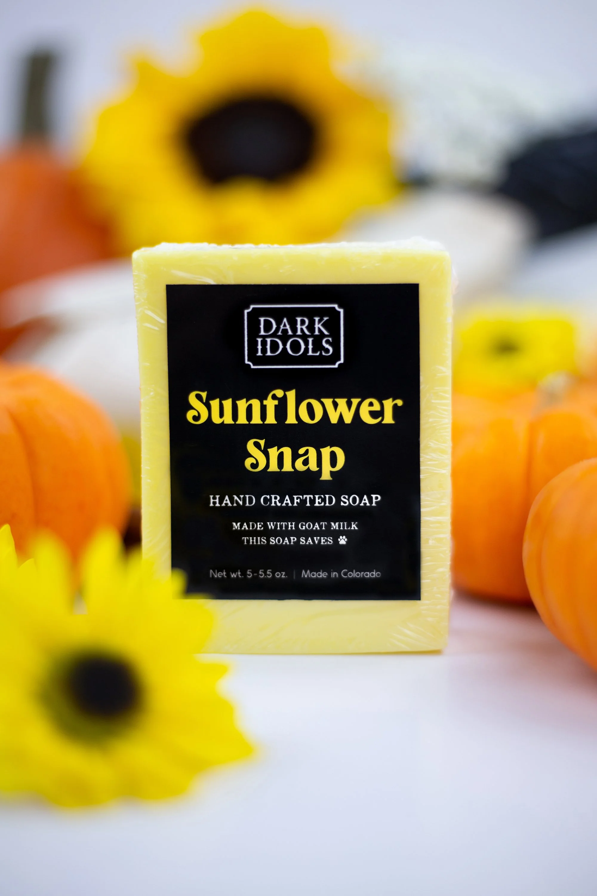 SunflowerSnap_4.jpg