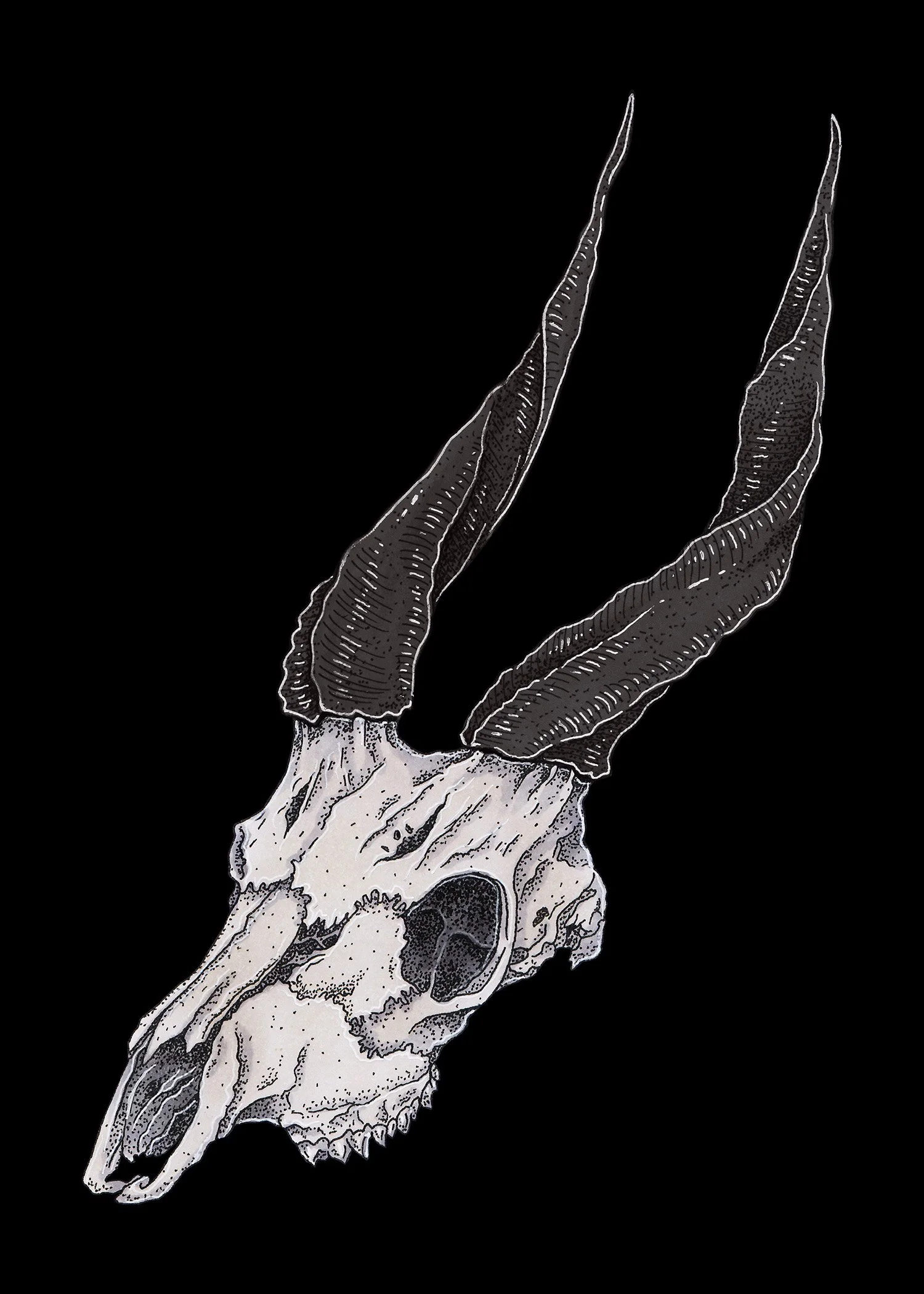 Horned-Sample.jpg
