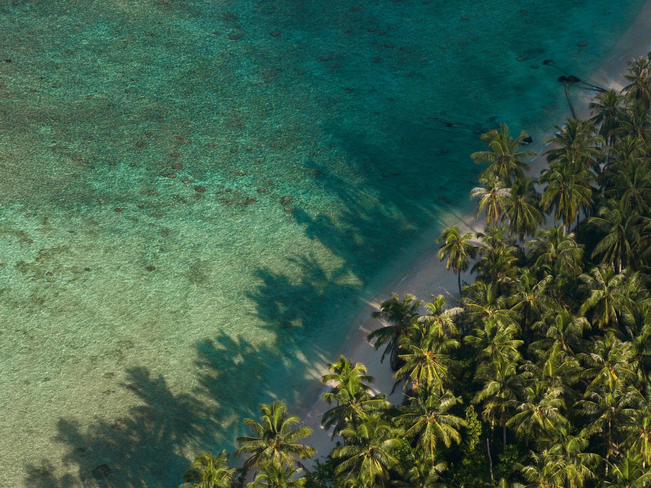 DJI_20260605174008_0939_D.jpg