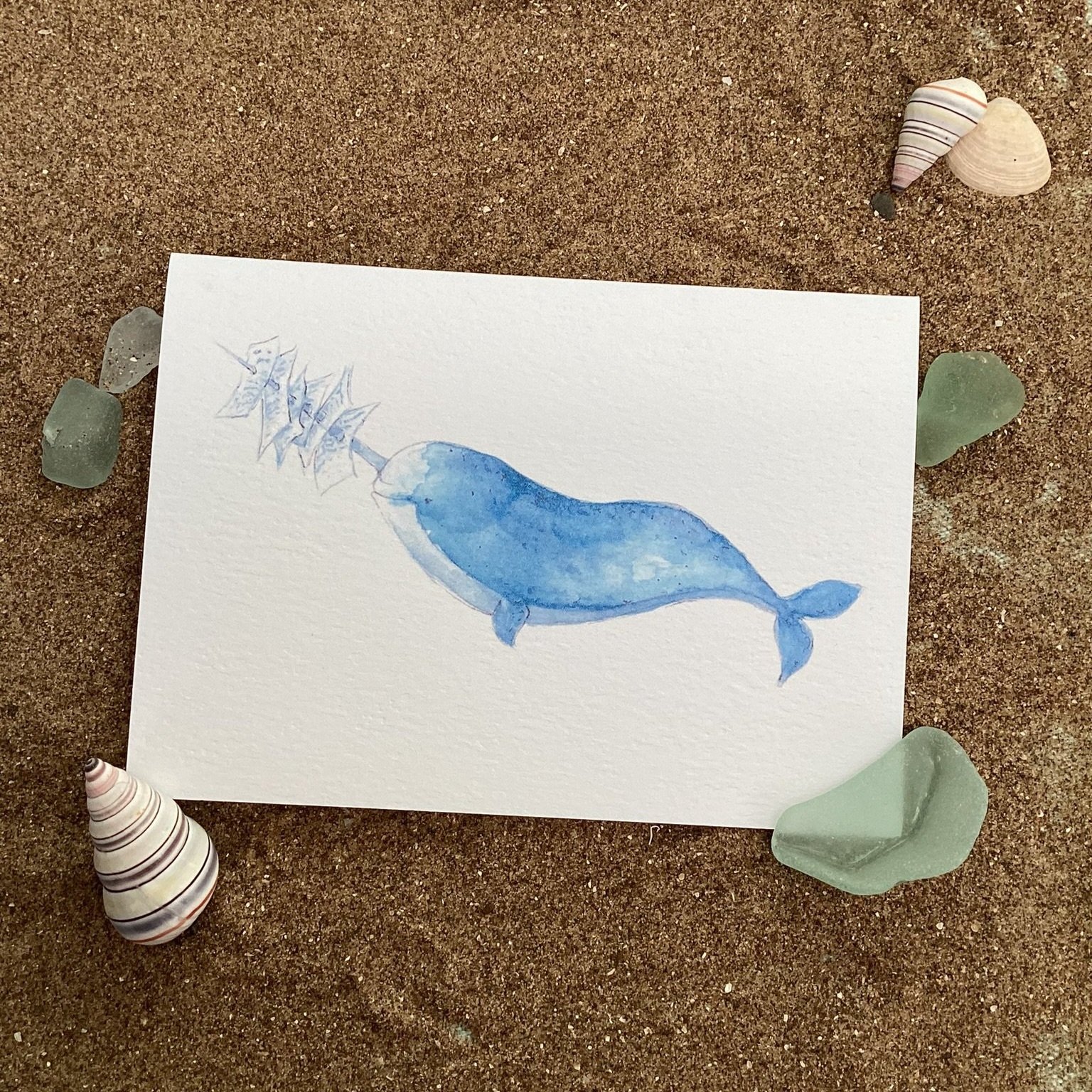 Narwhal Post Standard Card