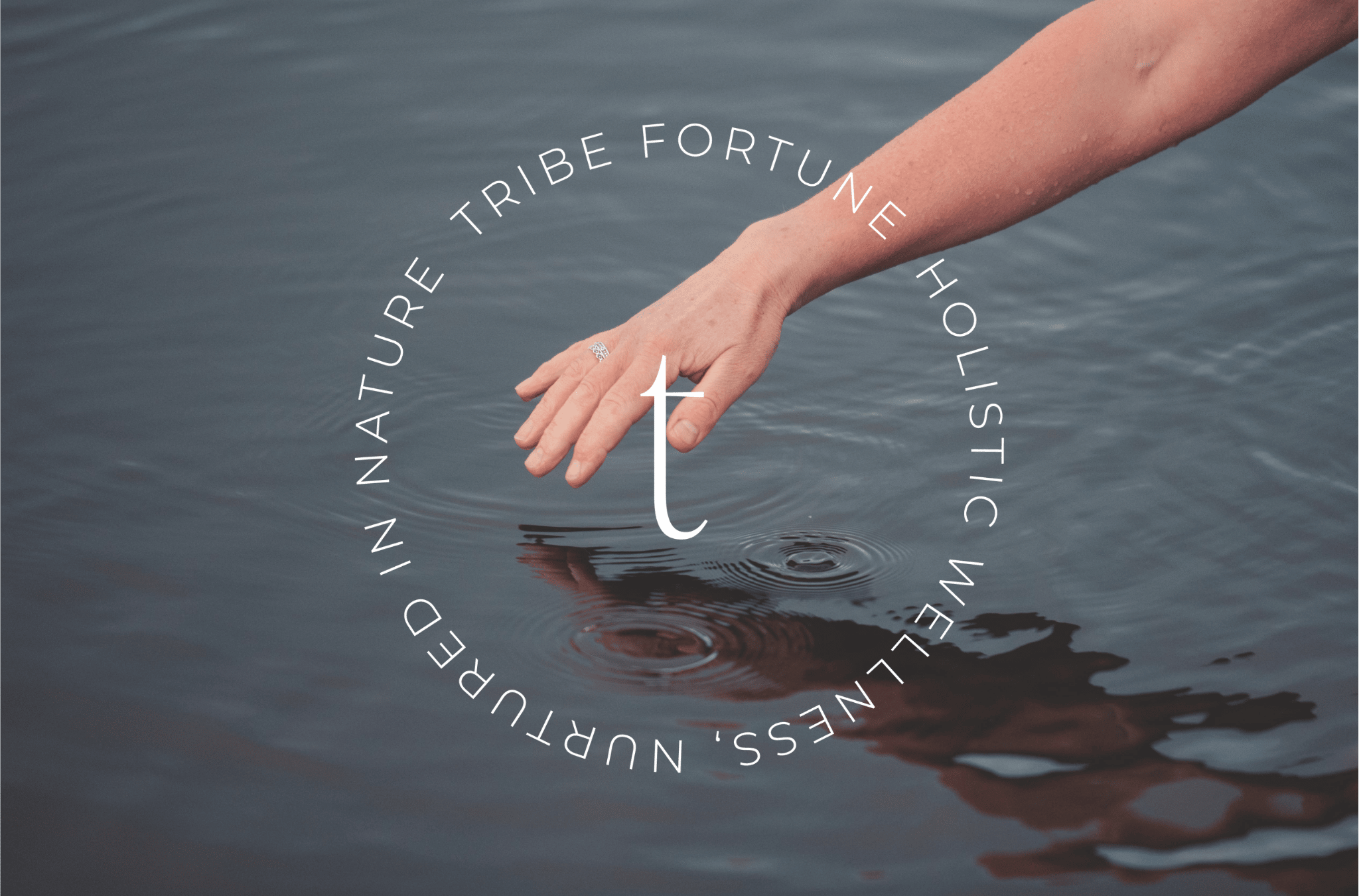 Forage the Falls - Guided Nature Walk and Waterfall Dip
