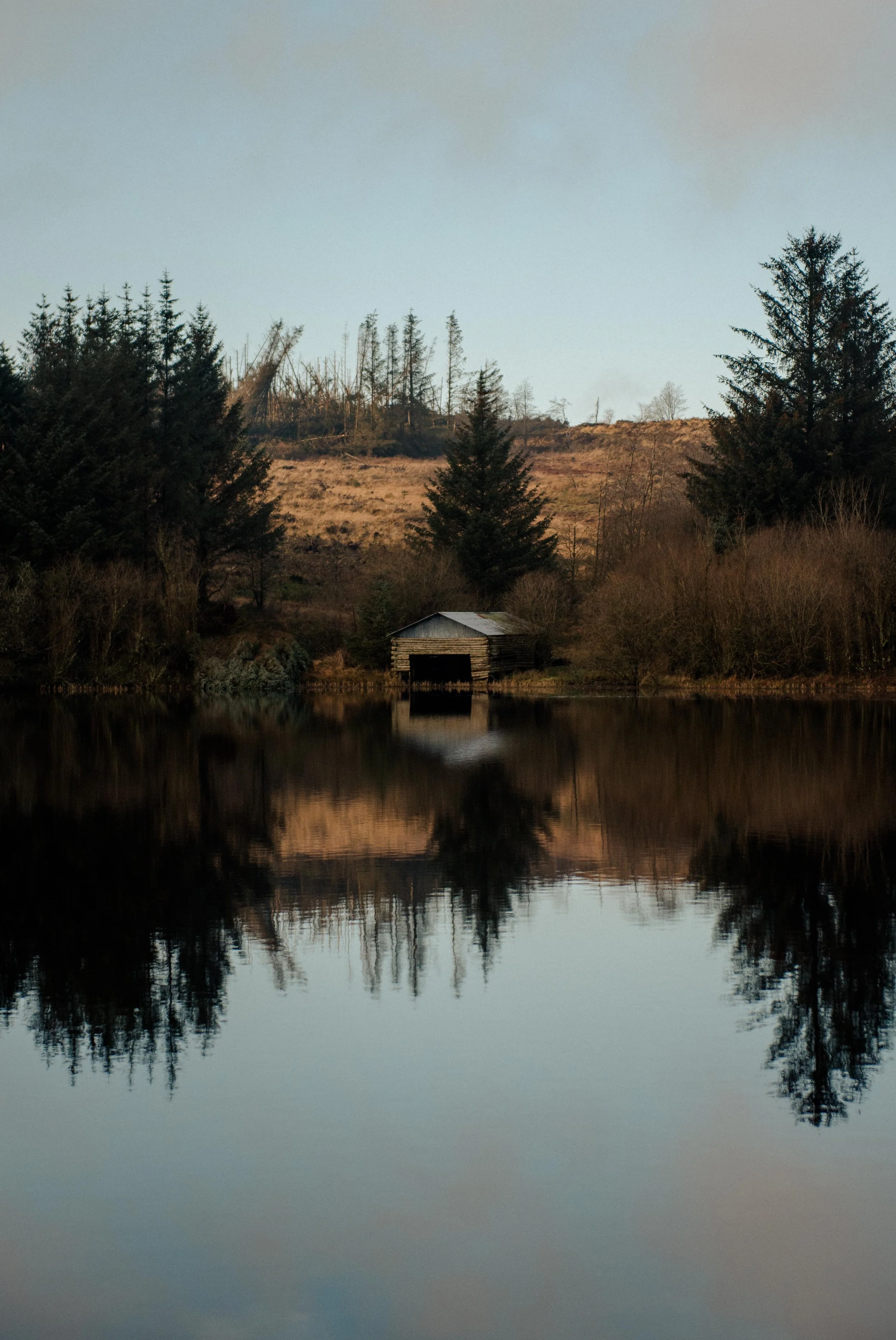 Loch Ettrick Wild Swimming