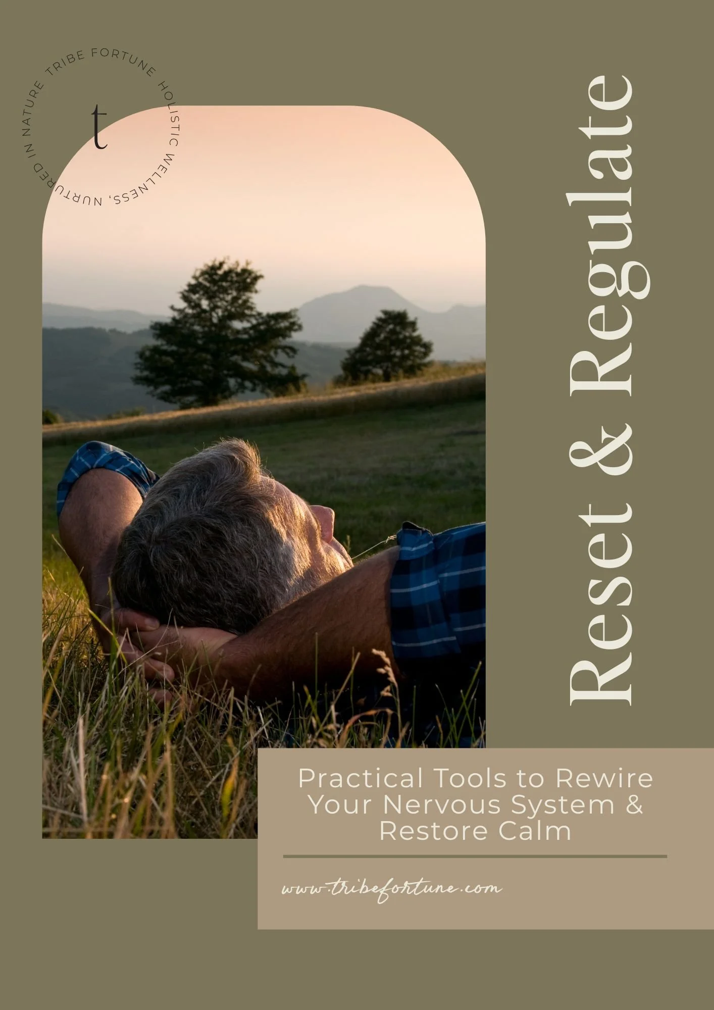 Reset & Regulate PDF.jpg