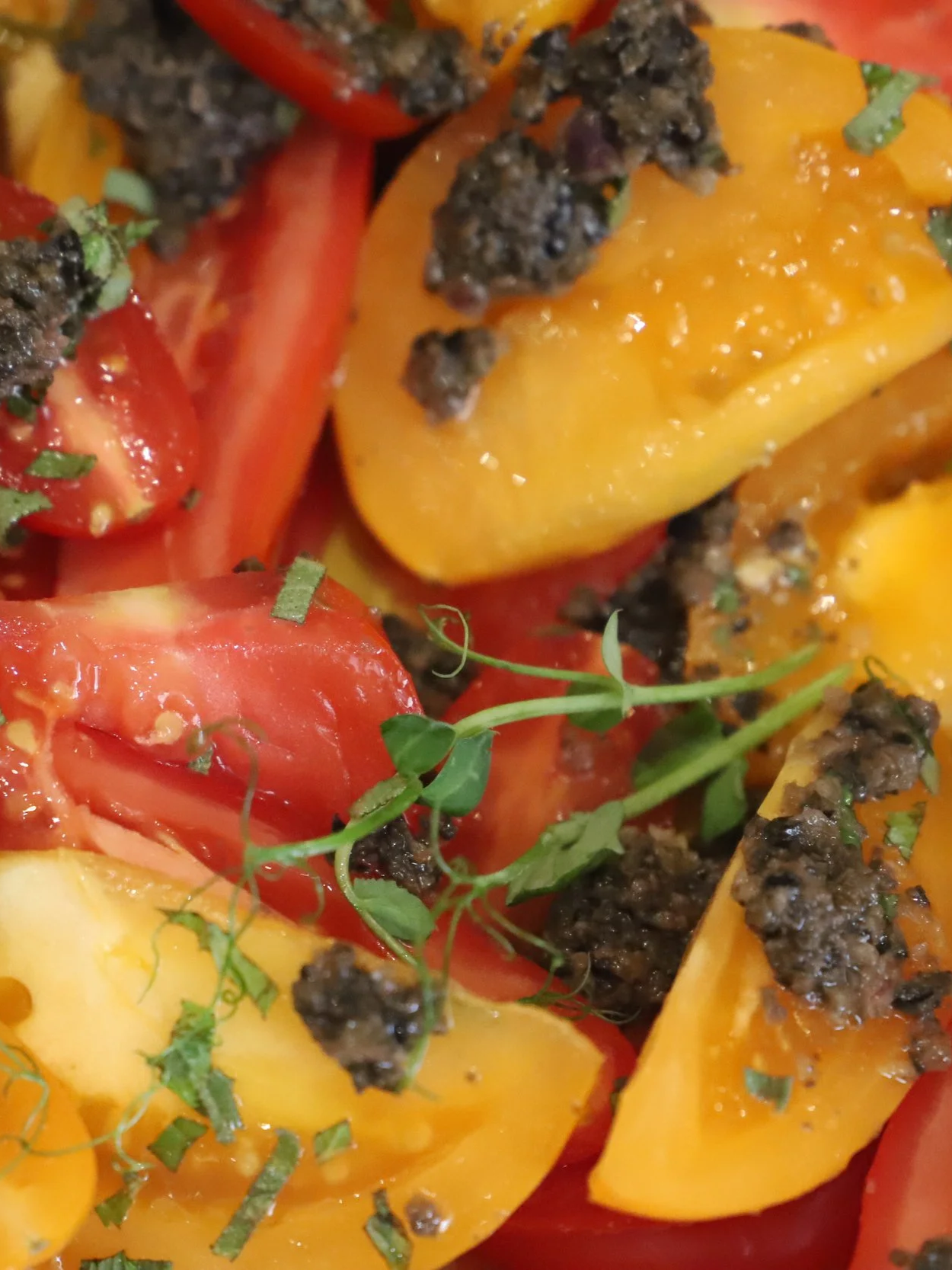 Close-up of a colorful tomato salad with red and yellow cherry tomatoes, ground meat, chopped herbs, and microgreens.