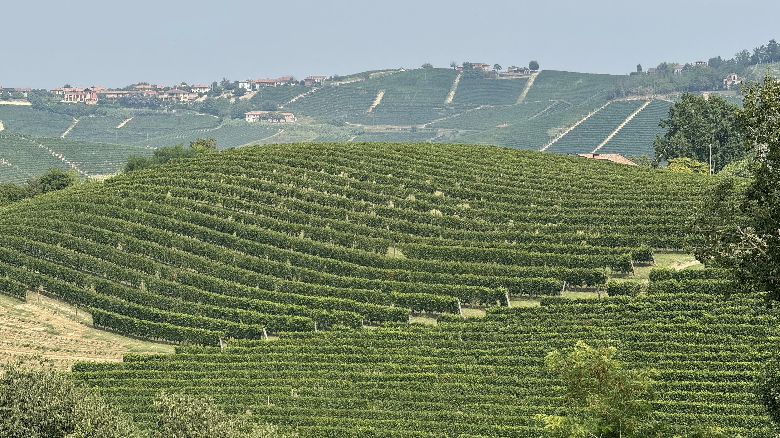 Barolo Country