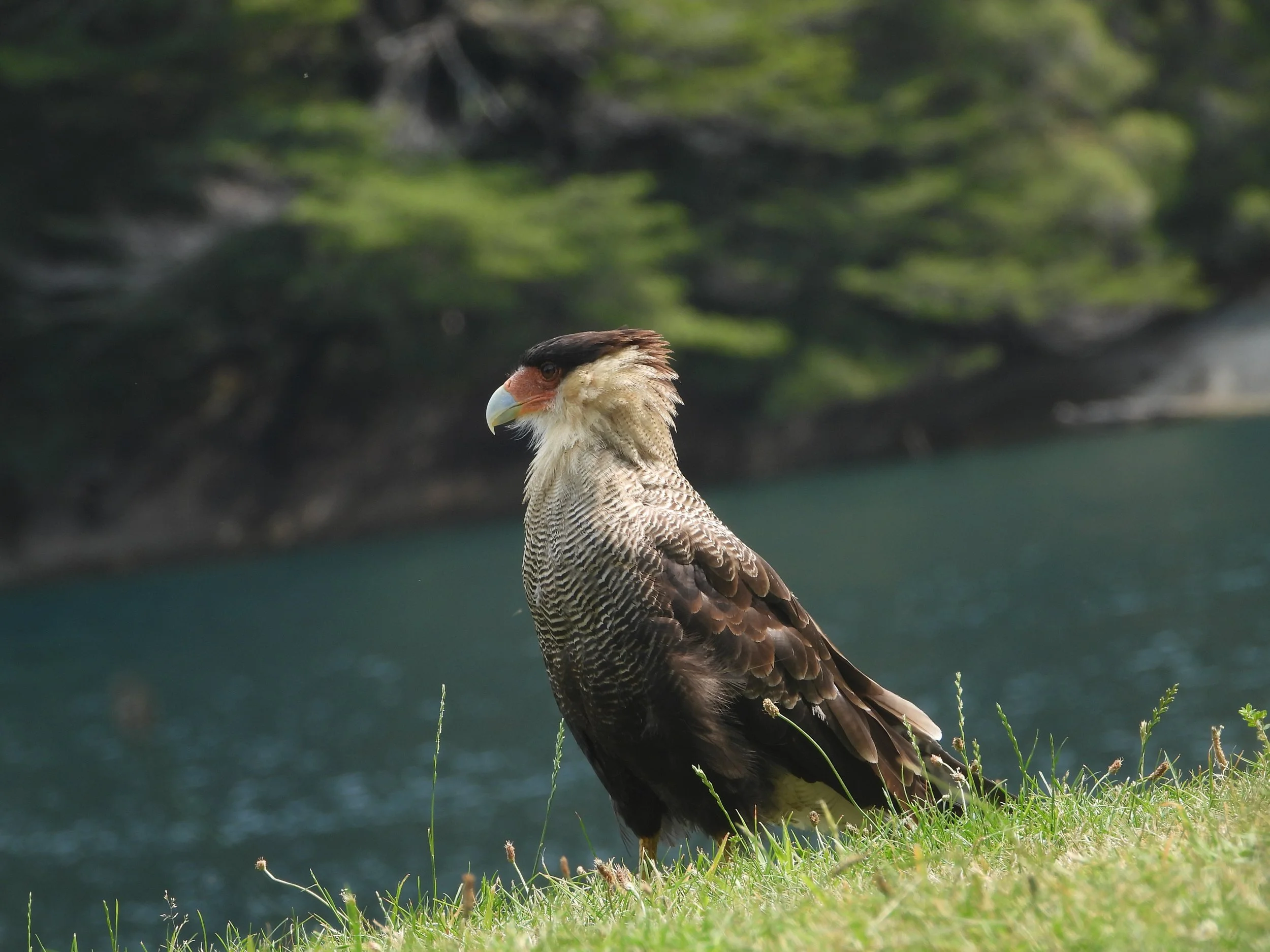 North Patagonia - Land of Lakes