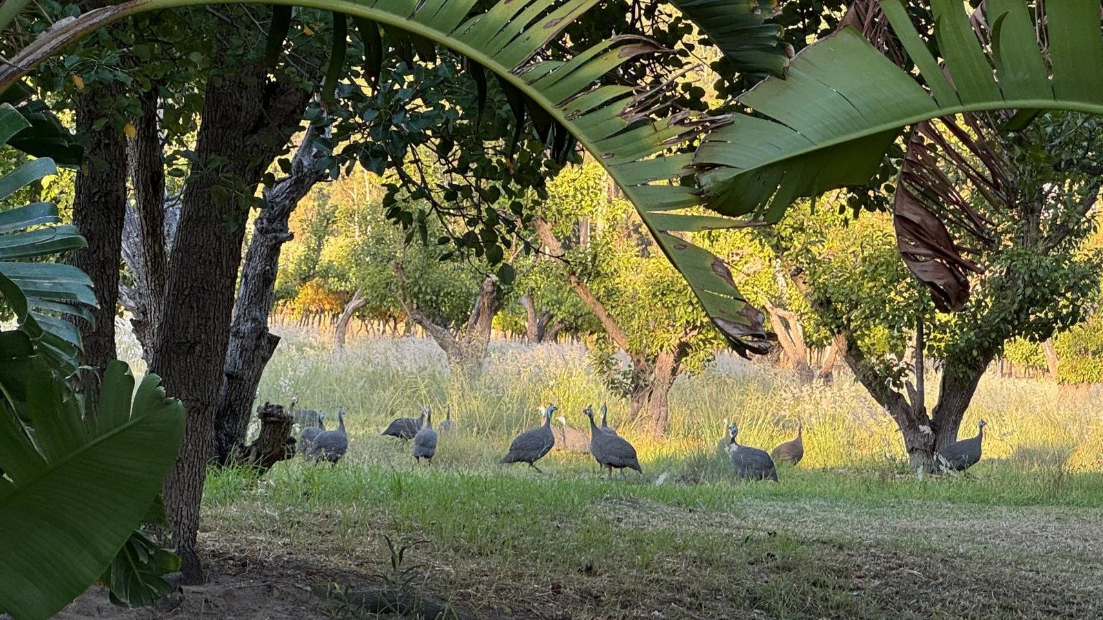 South Africa - Tip of Another Southern Continent