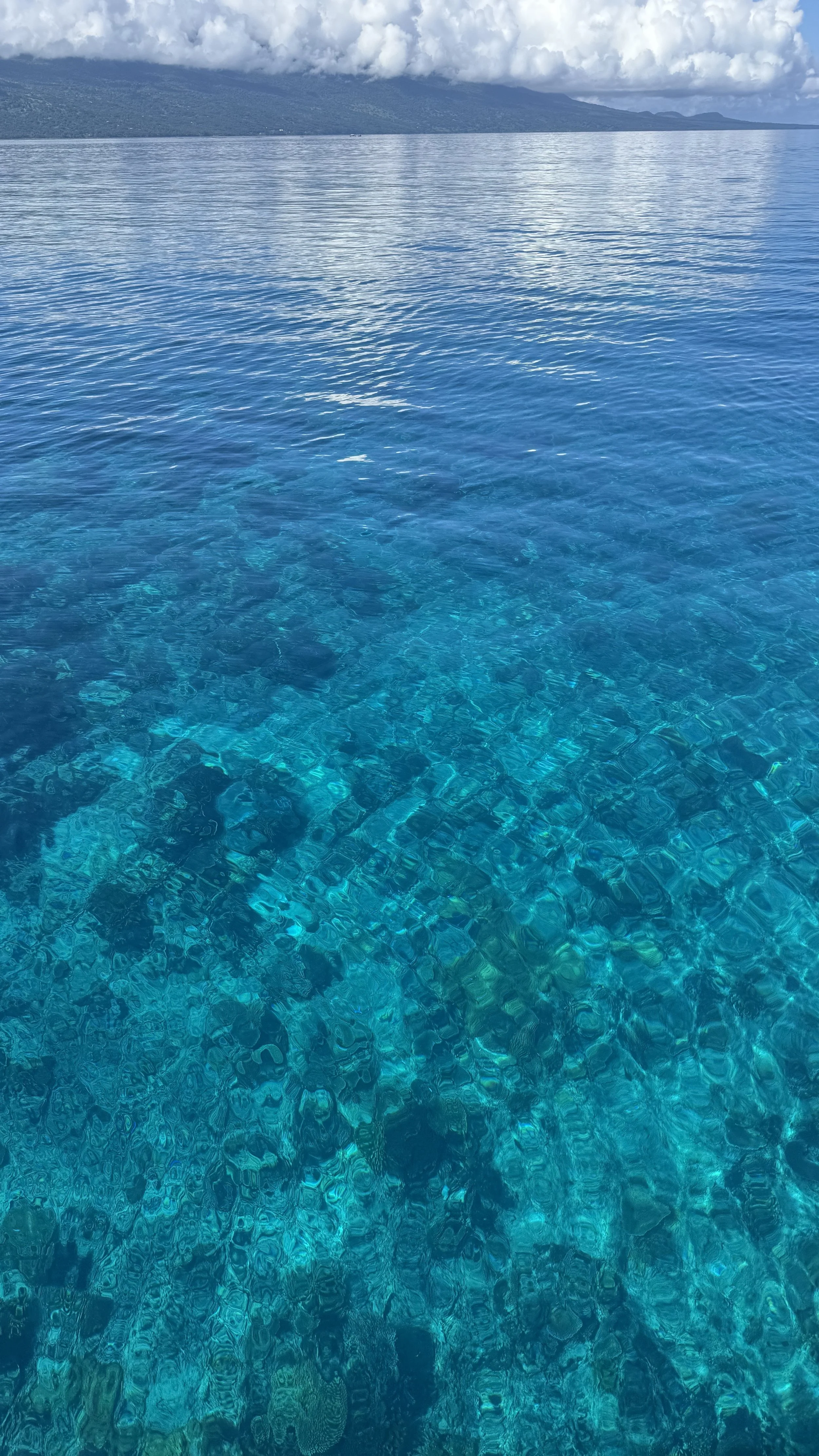 The waters were crystalline with views 10 meters (30 ft) to the corals below