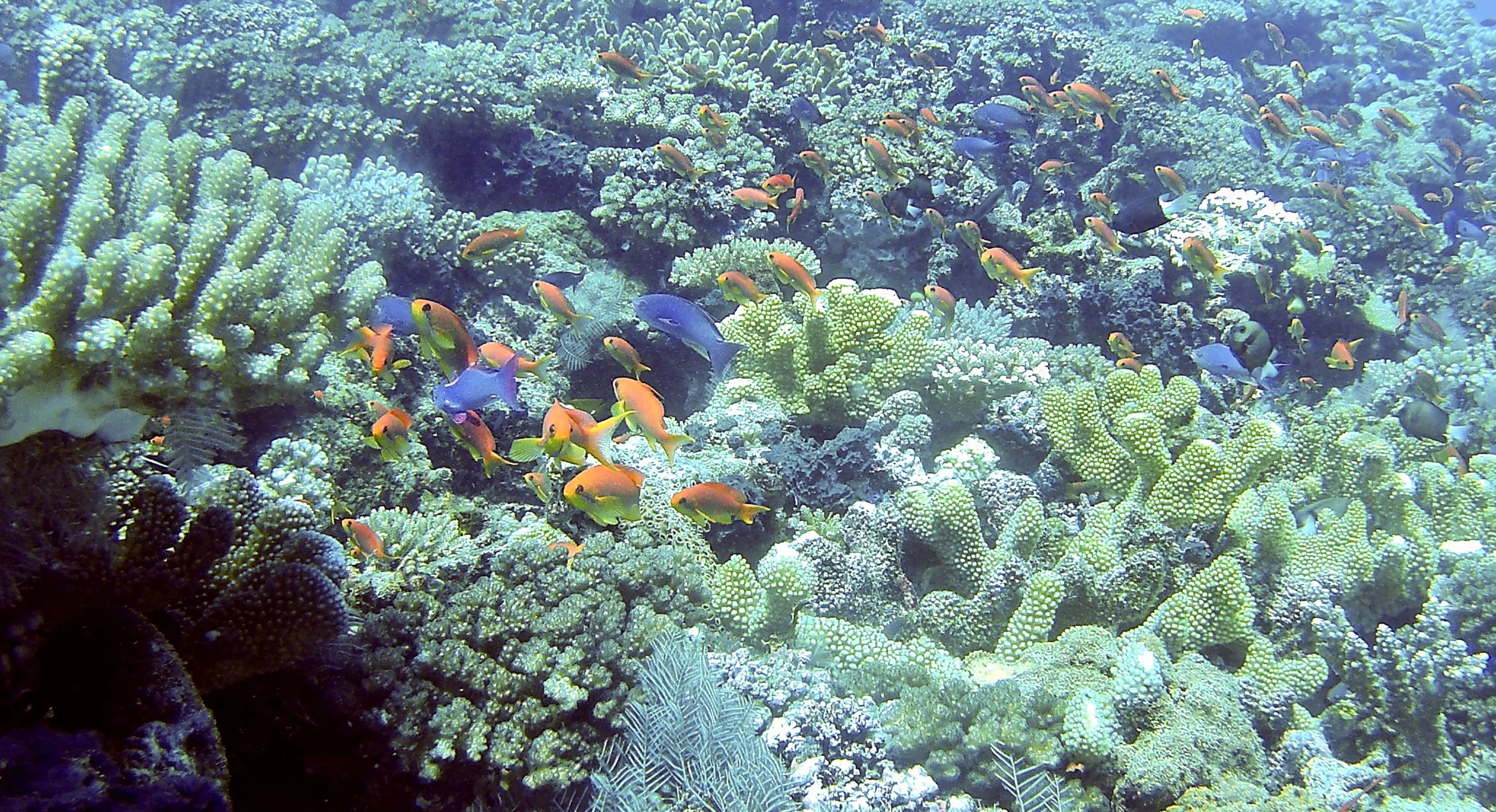 20241228_174047.JPG