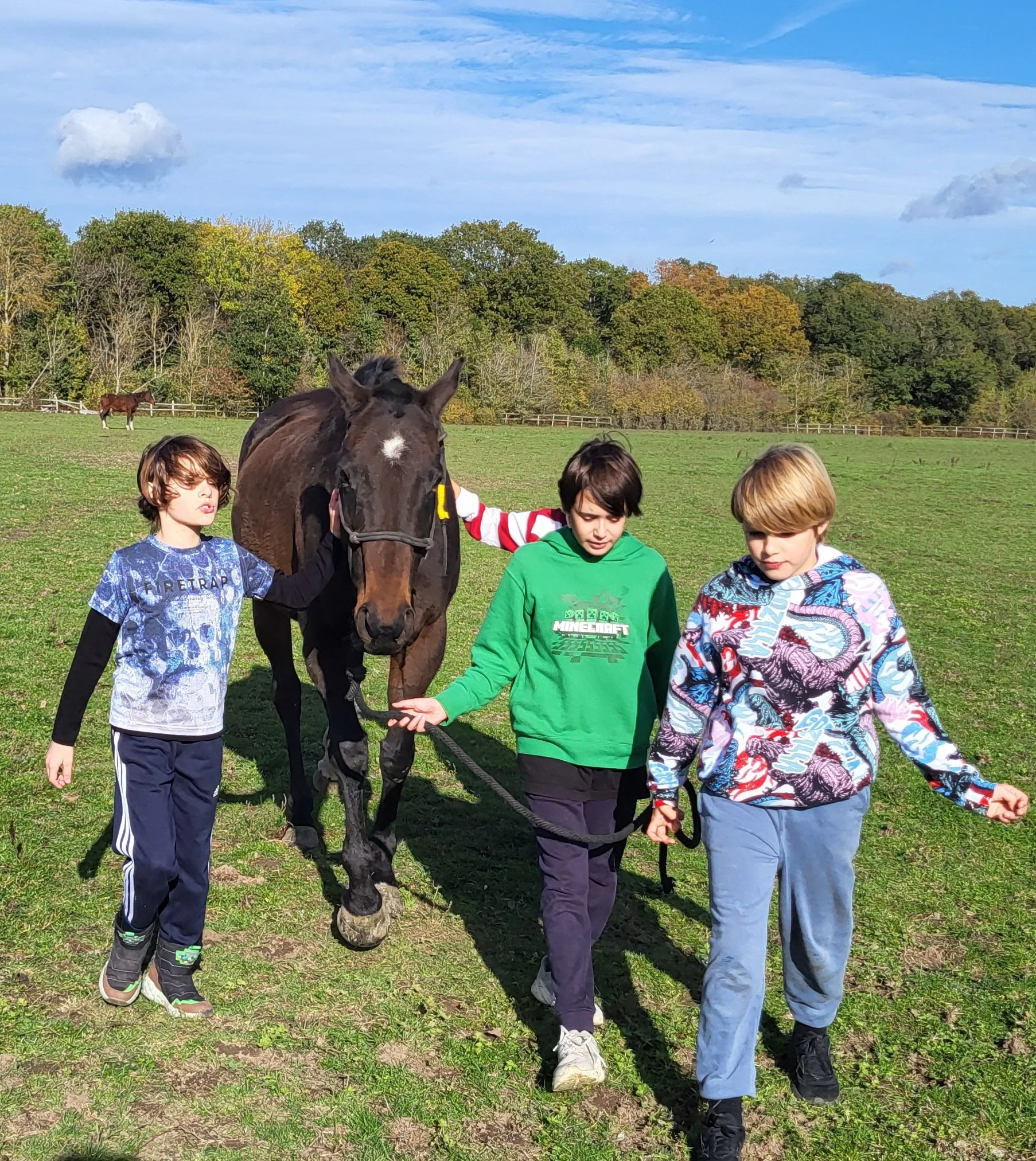 Three children walking a horse in a grassy field with trees and a blue sky in the background.